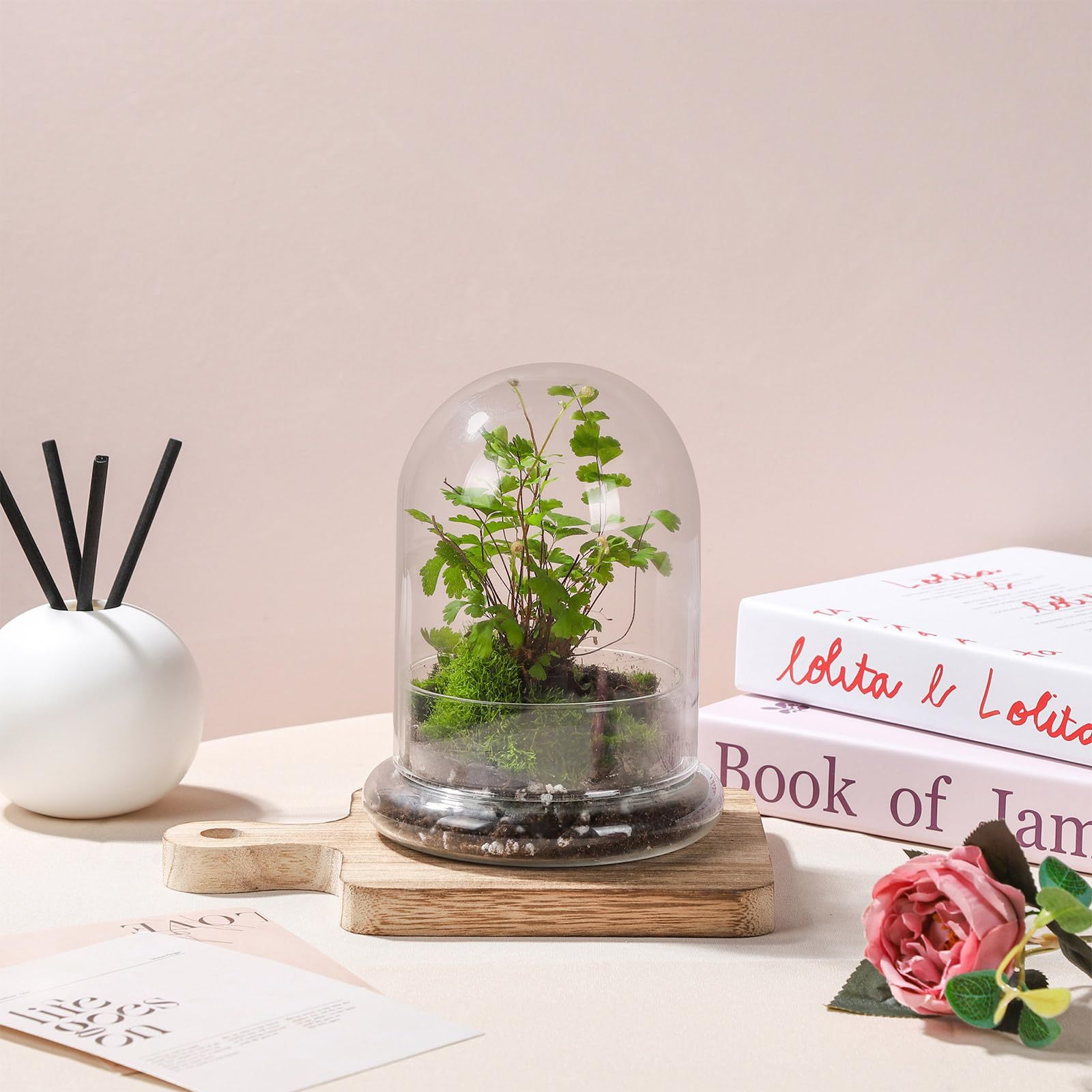 6 Inch Glass Cloche Dome with Base Mini Terrarium Cover Indoor Plant Home Display Decor