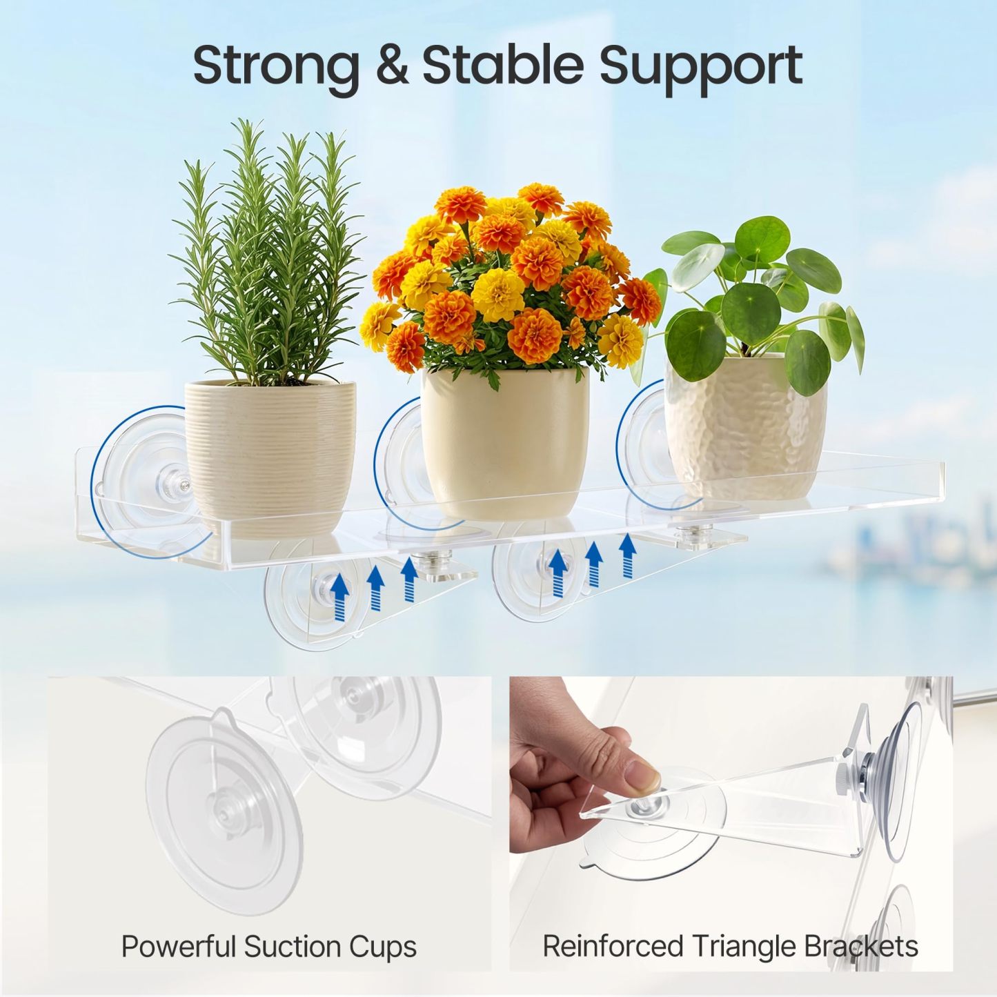 2 Pack 15.7 x 5.9 Inch Acrylic Window Plant Shelves, Heavy Duty Suction Cup Floating Shelf with Support Bracket for Indoor Succulents Plants