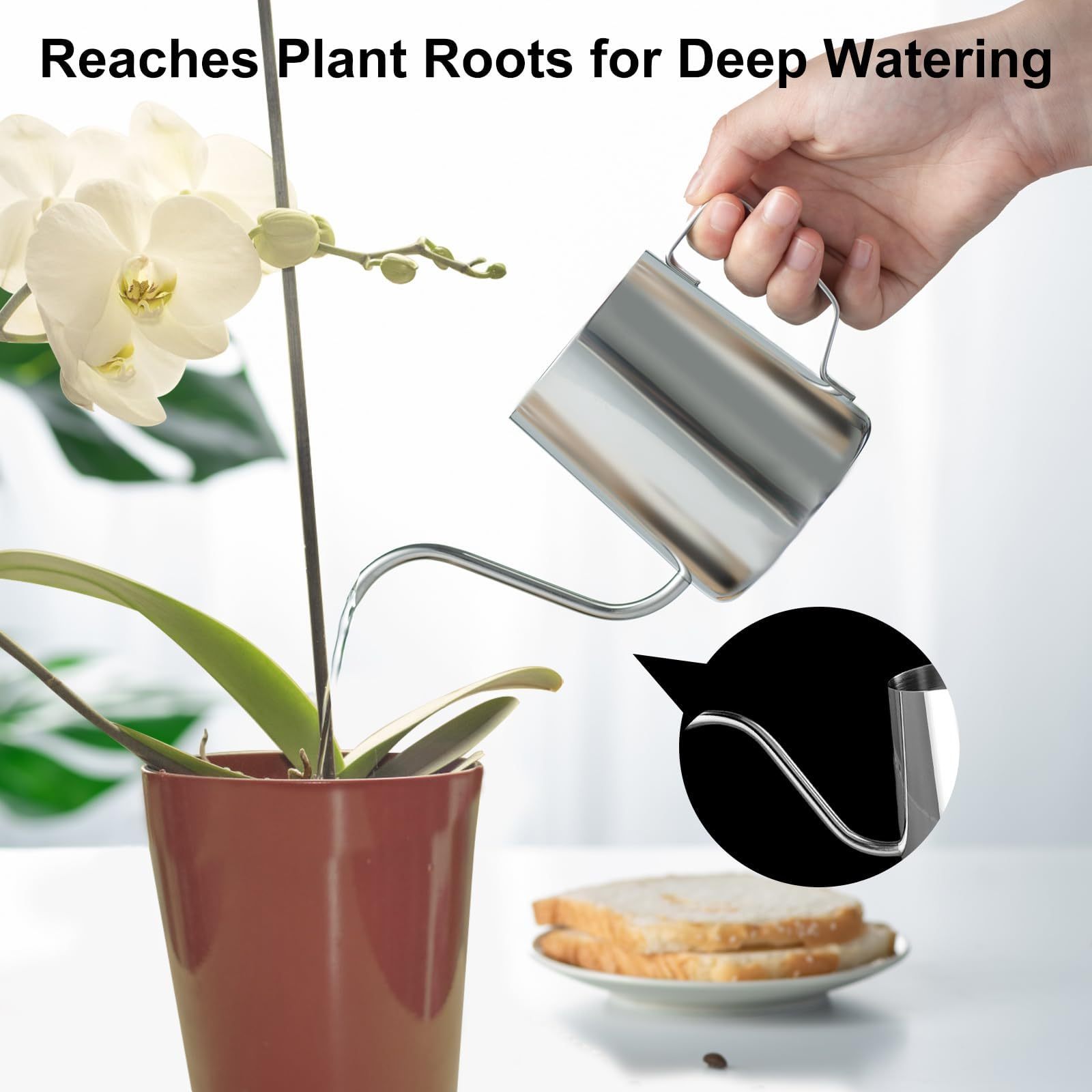 12 Oz / 350ml 304 Stainless Steel Mini Watering Can, Rust-Proof Long Spout Water Pot with Handle for Indoor Plants