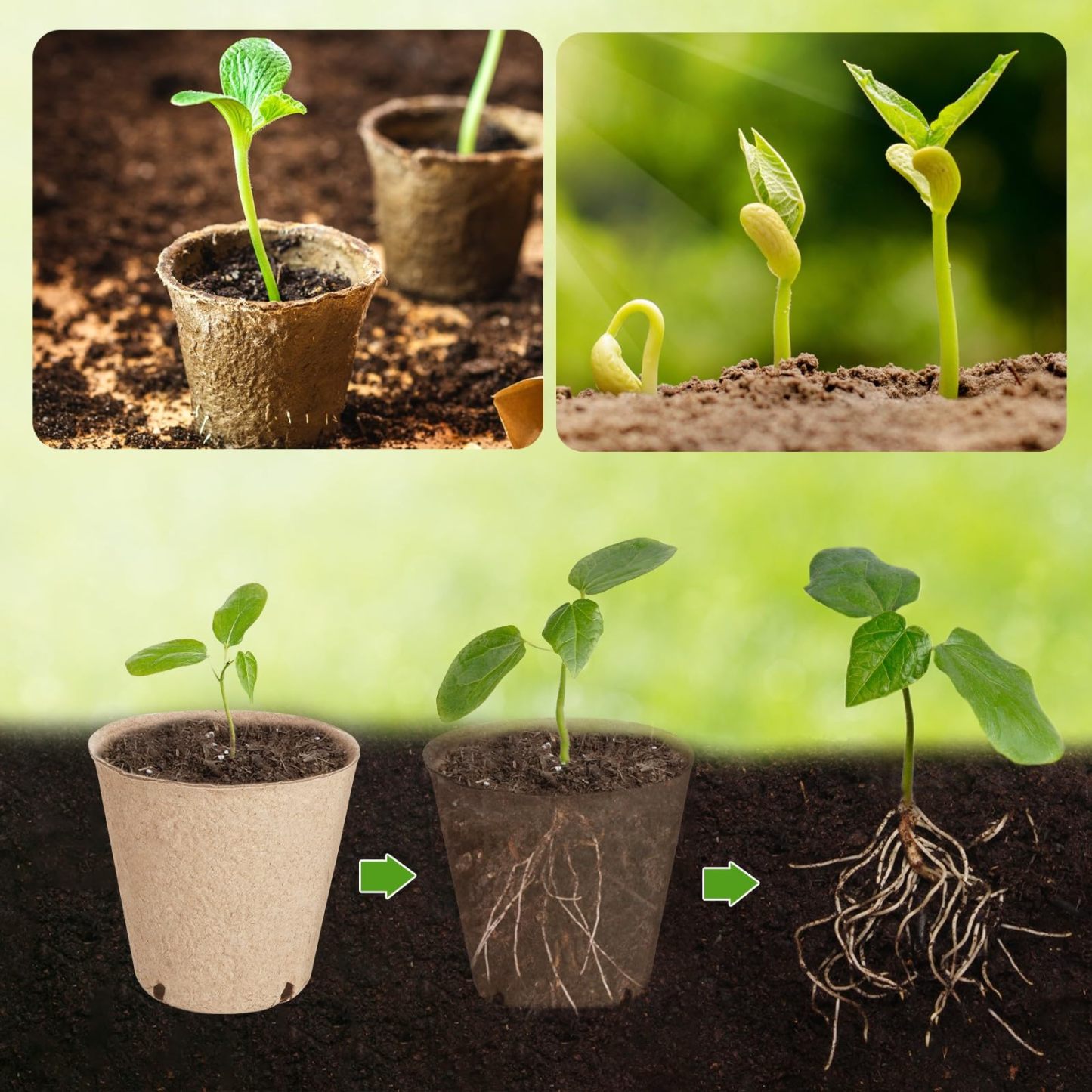 Round Nursery Seedling Pots