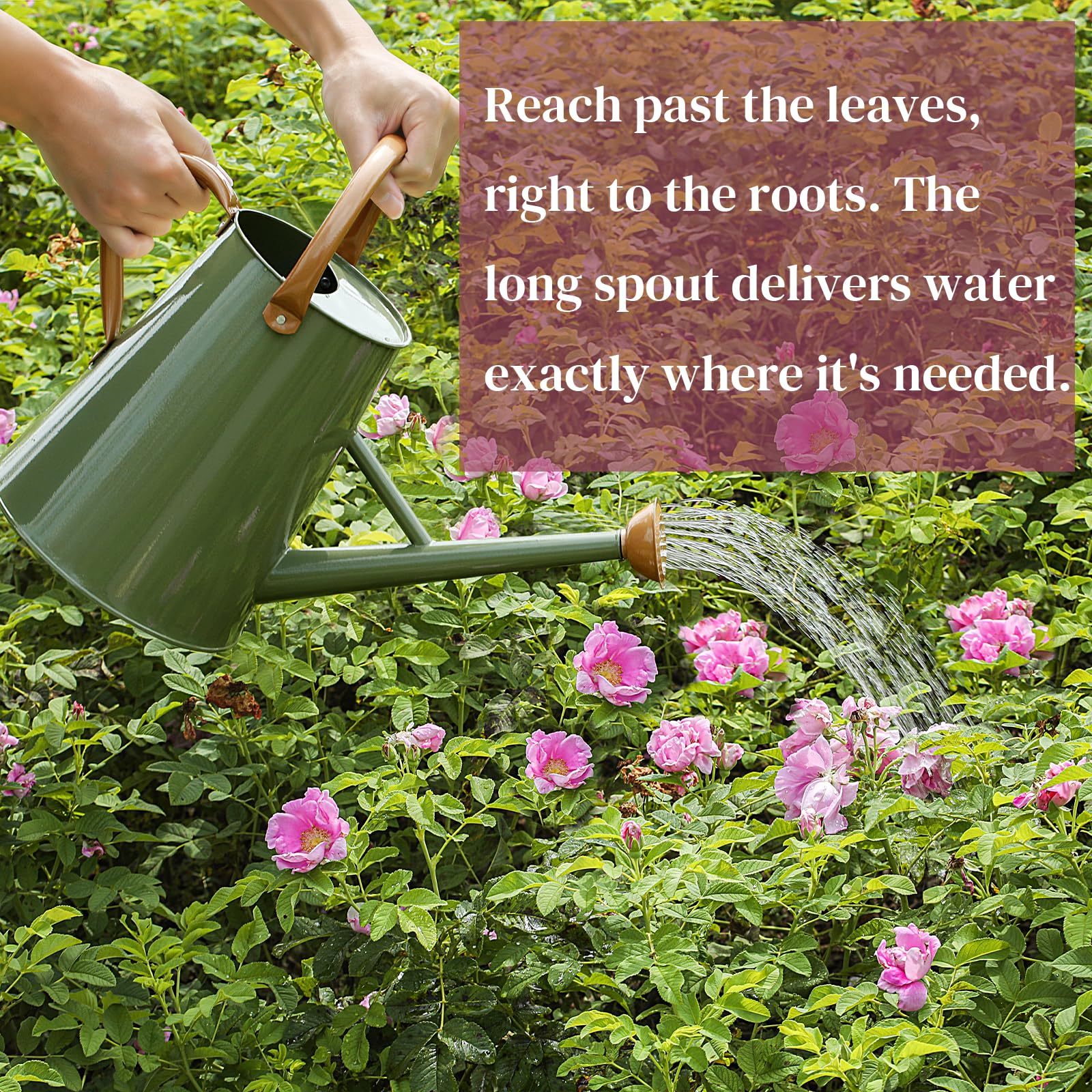 1.5 Gallon Galvanized Steel Watering Can, Removable Spout & Movable Ergonomic Handle for Indoor & Outdoor Plants