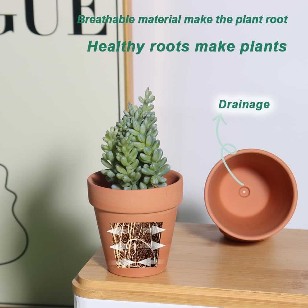 20 Pack 3 Inch Terracotta Clay Pots with Drainage Holes, Small Flower Pots & Succulent Nursery Planters for Plants, Crafts and Wedding Favors
