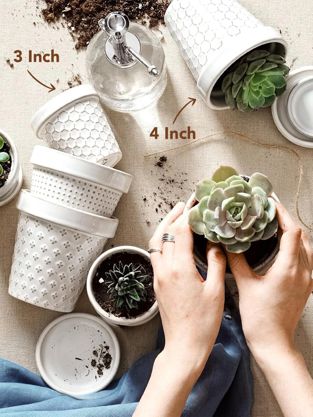 Set of 4 Arctic White Ceramic Succulent Pots, 4 Inch Small Embossed Planters with Drainage Hole & Saucer for Indoor Succulents & Cactus