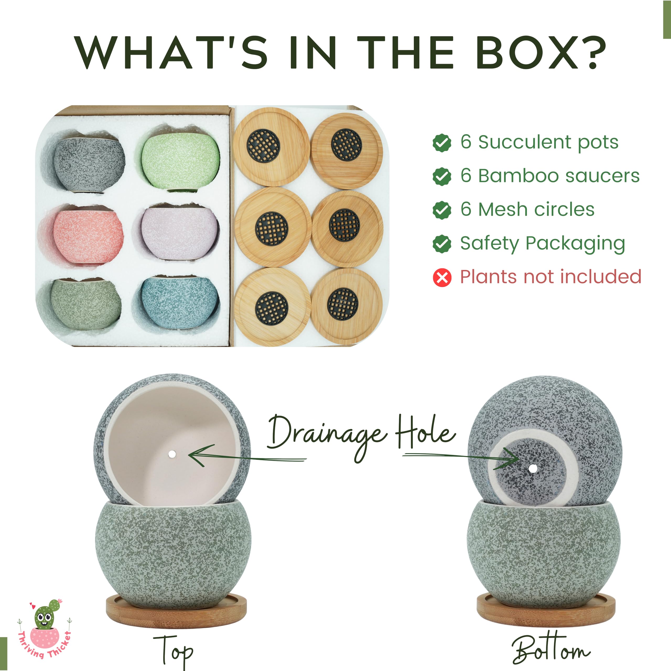 6 Pack 3 Inch Ceramic Succulent Pots, Small Planters with Drainage for Indoor Plants, Mini Cactus & 2 Inch Small Plants