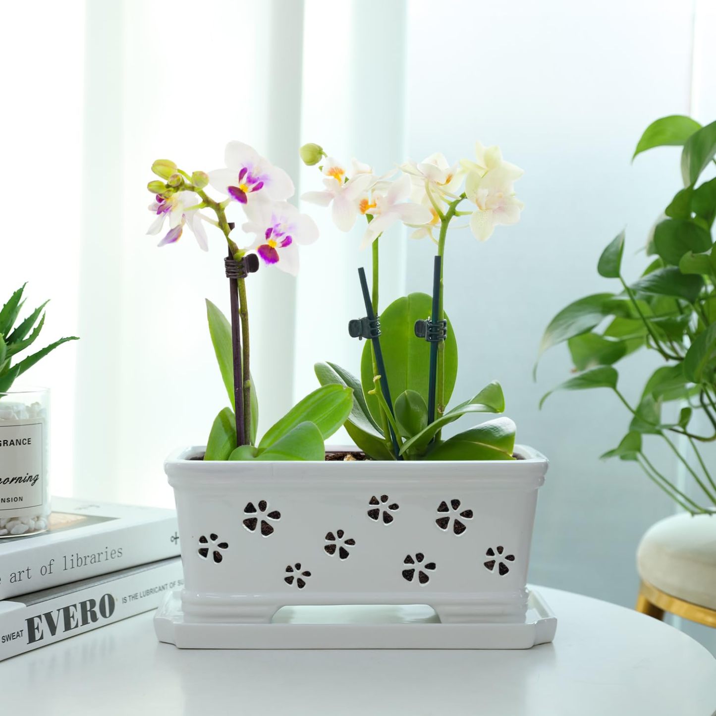 Rectangle Ceramic Orchid Pot with Holes & Saucer