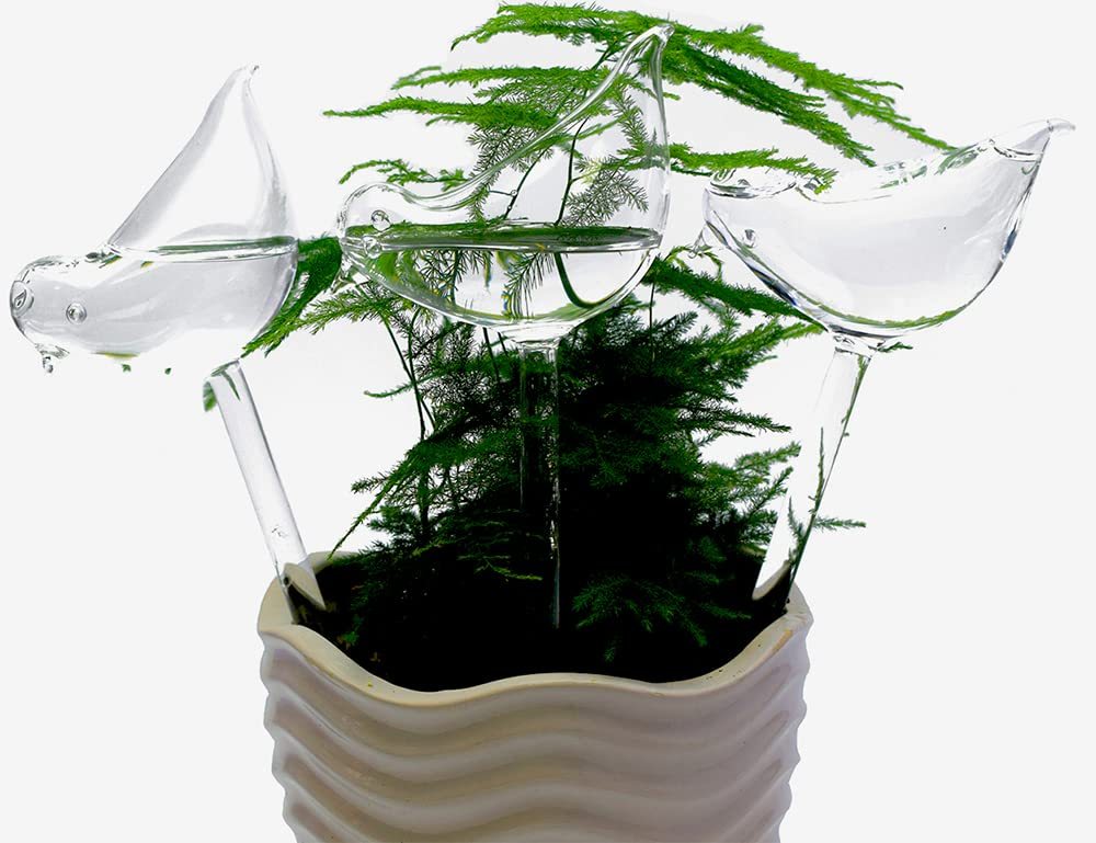 Bird Shaped Glass Self Watering Globes, Automatic Plant Waterer Planter Inserts, Watering Bulbs for Indoor Plants