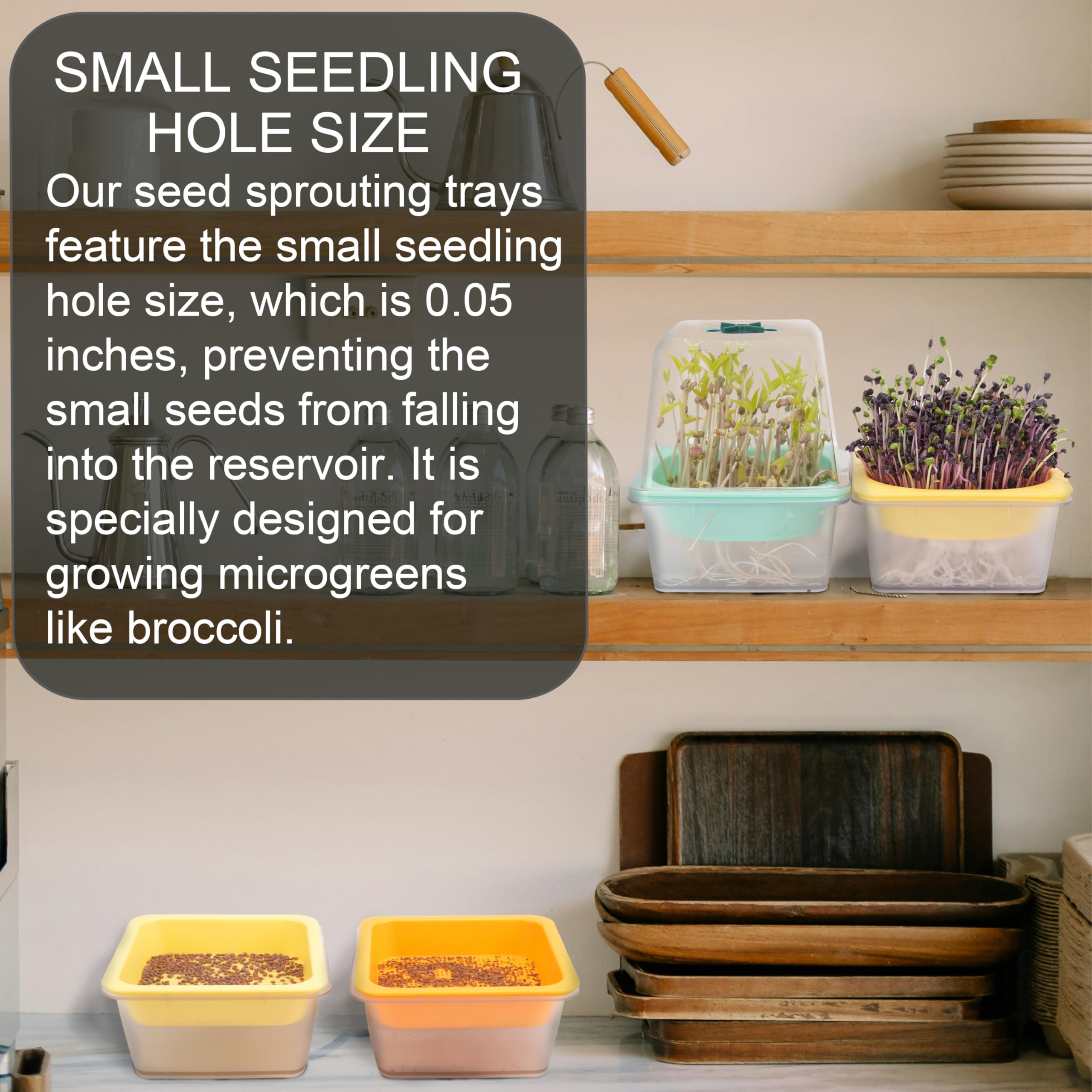 5" x 5" Microgreen Growing Trays with Humidity Dome, 4 Pack BPA Free Sprouting Trays, 1.2mm Small Mesh Holes for Broccoli, Alfalfa, Radish and Clover Seeds