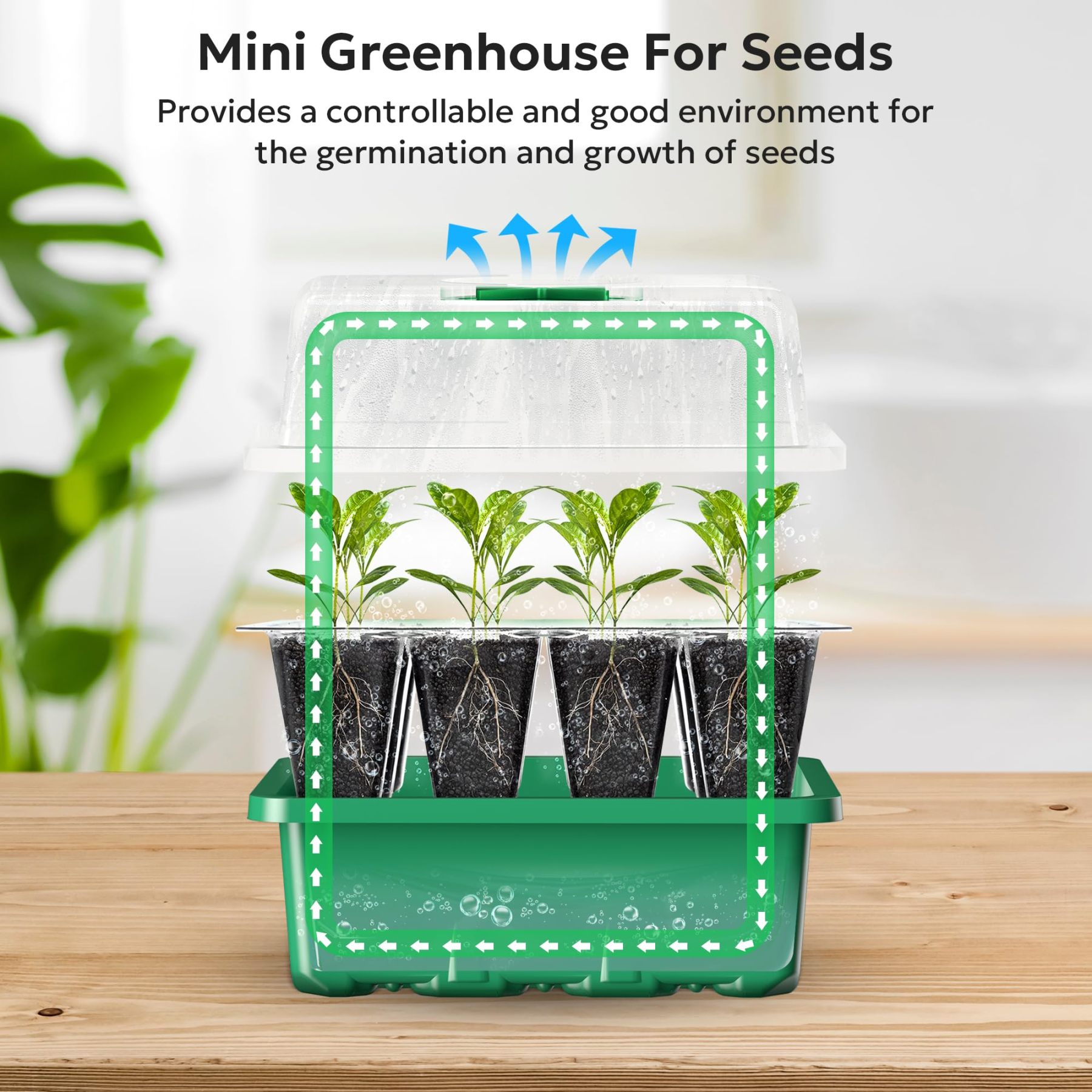 10 Packs Seed Starter Tray Kit with Humidity Dome, 120 Cells Total Seed Starting Trays, Mini Greenhouse Germination Kit with Base for Plant Seed Starting