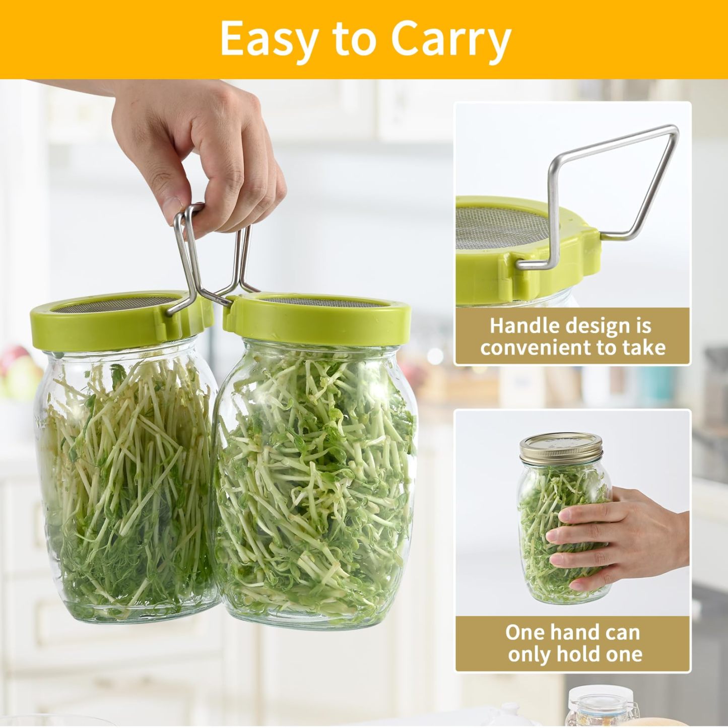 2 Pack Wide Mouth Jar Seed Sprouting Kit, 316 Stainless Steel Mesh Germination Lid with BPA-Free Drip Tray & Tilted Design, Ideal for Bean Sprouts, Broccoli, Alfalfa & Microgreens
