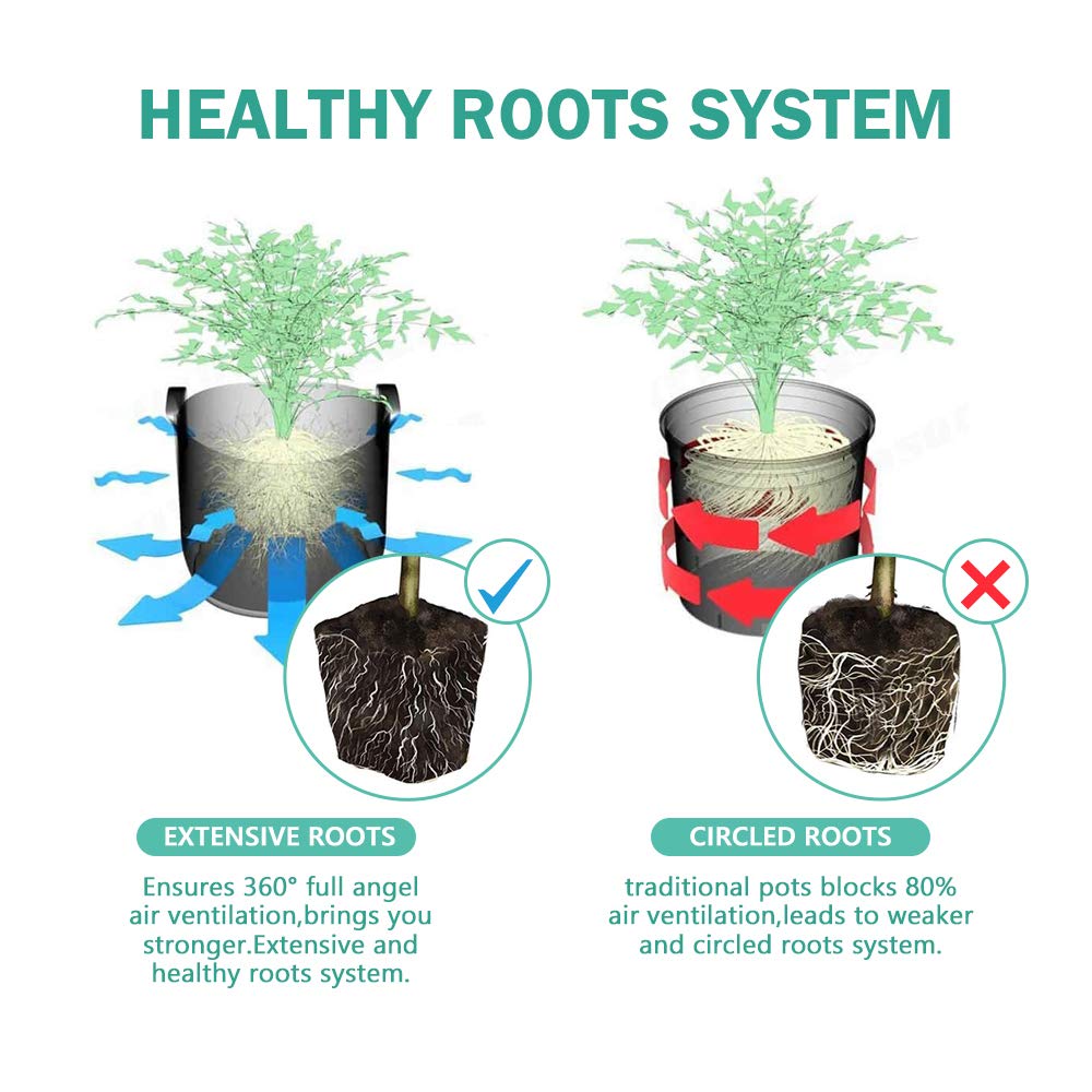 3.25" Biodegradable Peat Seed Starter Pots