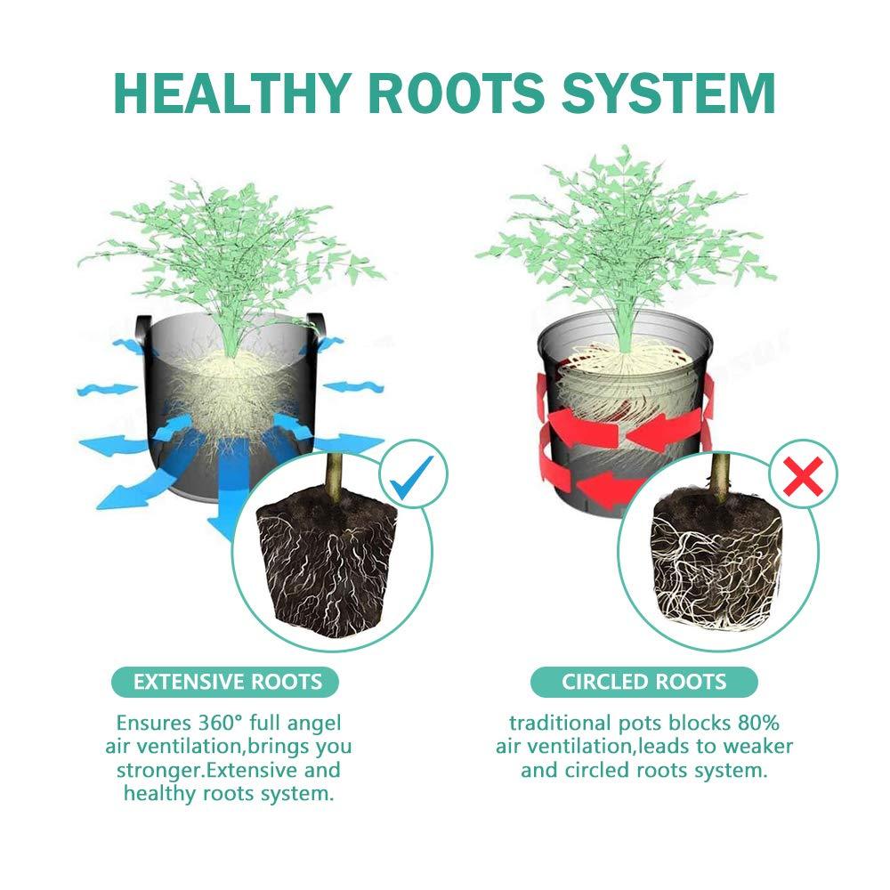 3.25" Biodegradable Peat Seed Starter Pots