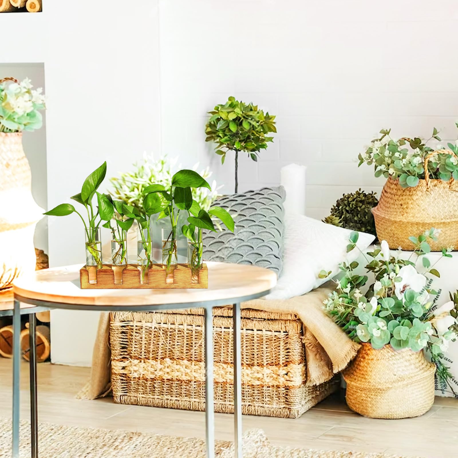 Plant Propagation Station, 5 Glass Test Tube Vases with Wooden Stand, Hydroponic Plant Terrarium, Unique Small Birthday Gardening Gifts for Women Mom Plant Lovers
