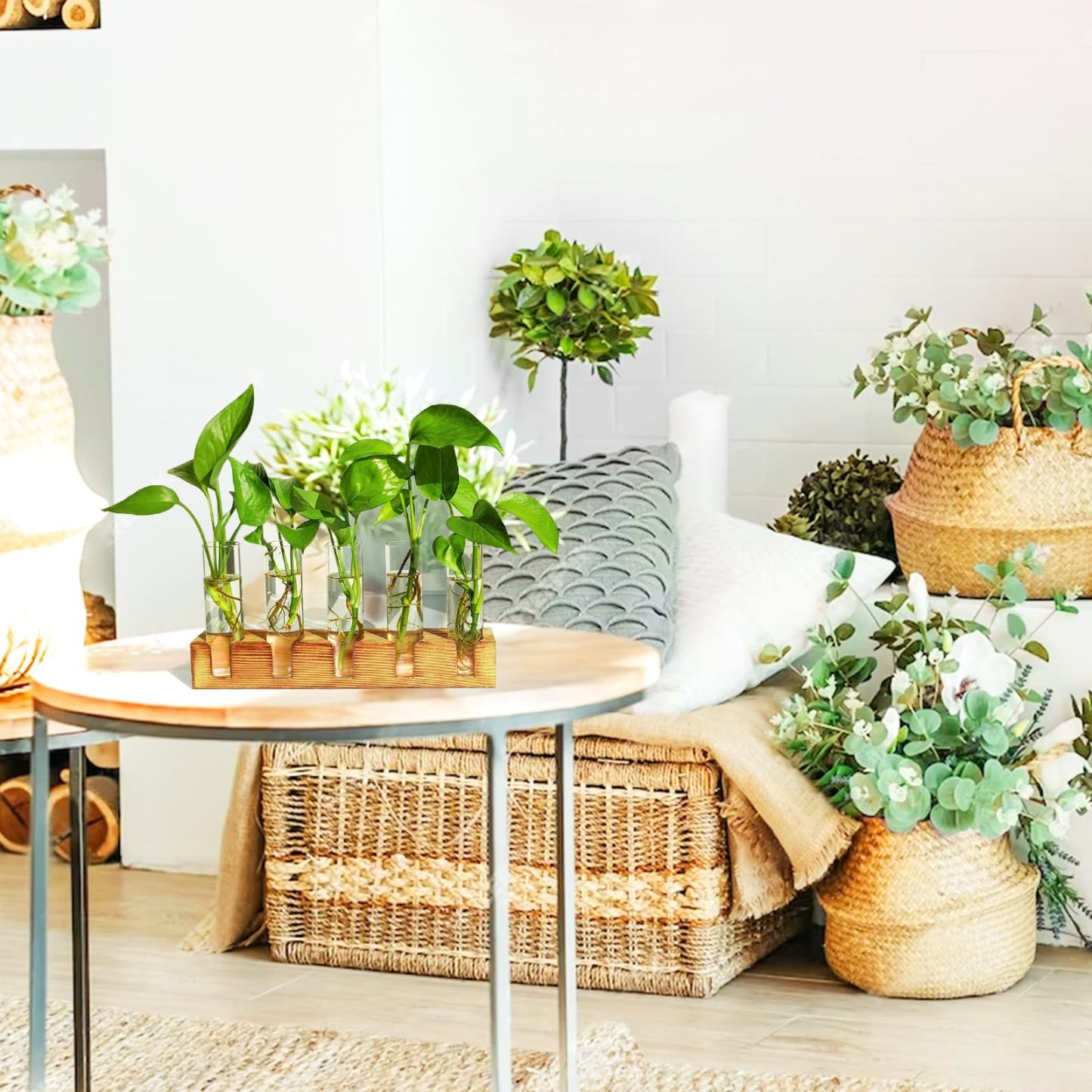 Plant Propagation Station, 5 Glass Test Tube Vases with Wooden Stand, Hydroponic Plant Terrarium, Unique Small Birthday Gardening Gifts for Women Mom Plant Lovers