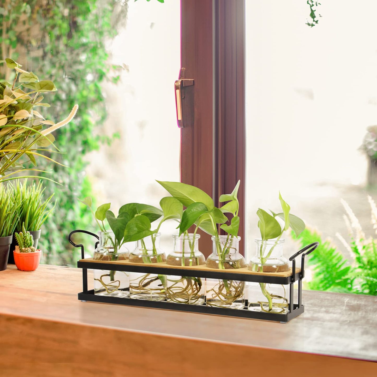 Tabletop Plant Propagation Station with Metal Stand, Retro Glass Hydroponic Planter Vase, 5 Jars Desktop Terrarium for Home Kitchen Office Decor & Plant Lovers Gifts