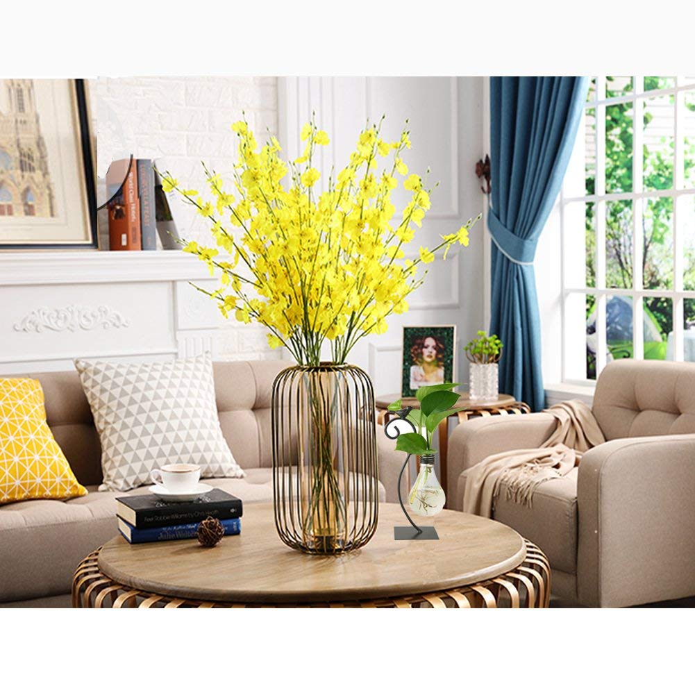 Modern Glass Hydroponic Vase Bulb Shaped Desktop Planter with Metal Holder for Home Decor