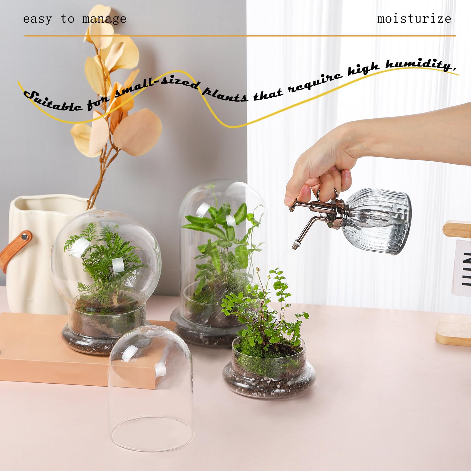 6 Inch Glass Cloche Dome with Base Mini Terrarium Cover Indoor Plant Home Display Decor