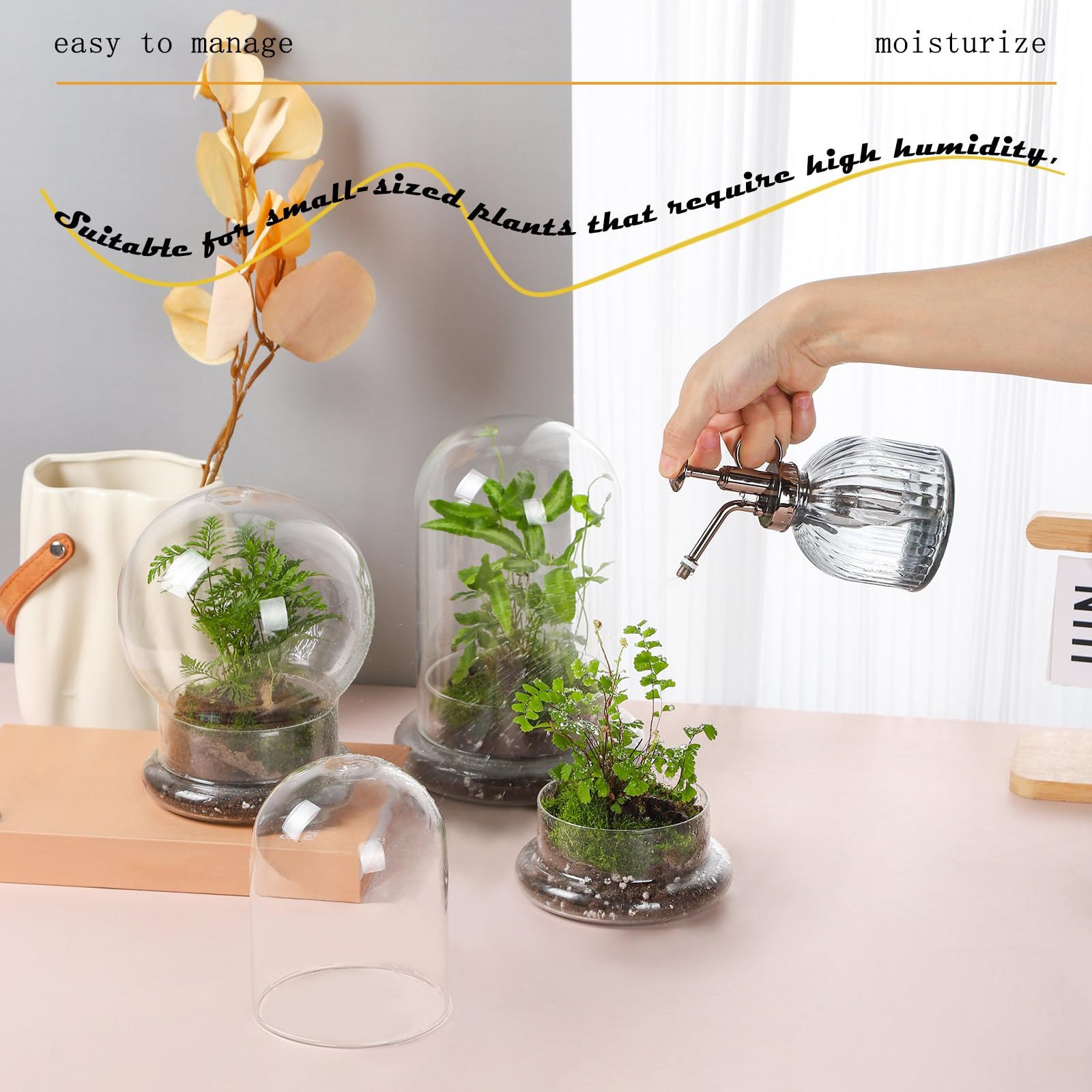 6 Inch Glass Cloche Dome with Base Mini Terrarium Cover Indoor Plant Home Display Decor