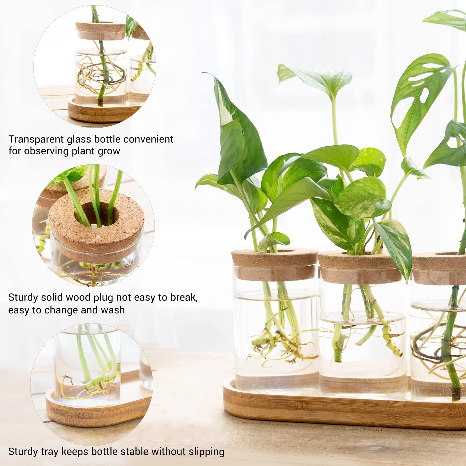 3Pcs Glass Propagation Terrarium with Lid Wooden Stand Desktop Hydroponic Planter Home Decor