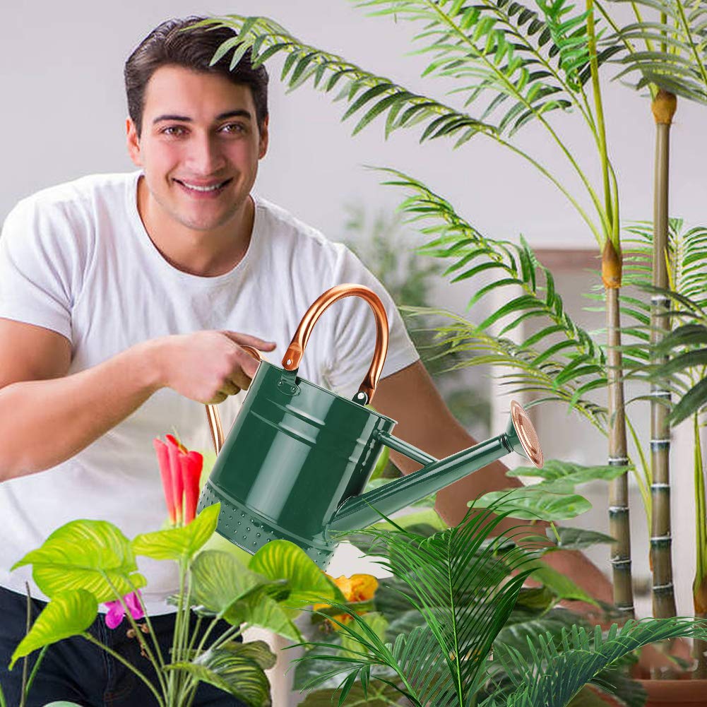 1 Gallon Galvanized Steel Watering Can, Metal Water Can with Removable Spout & Embossed Design for Indoor Outdoor Plants