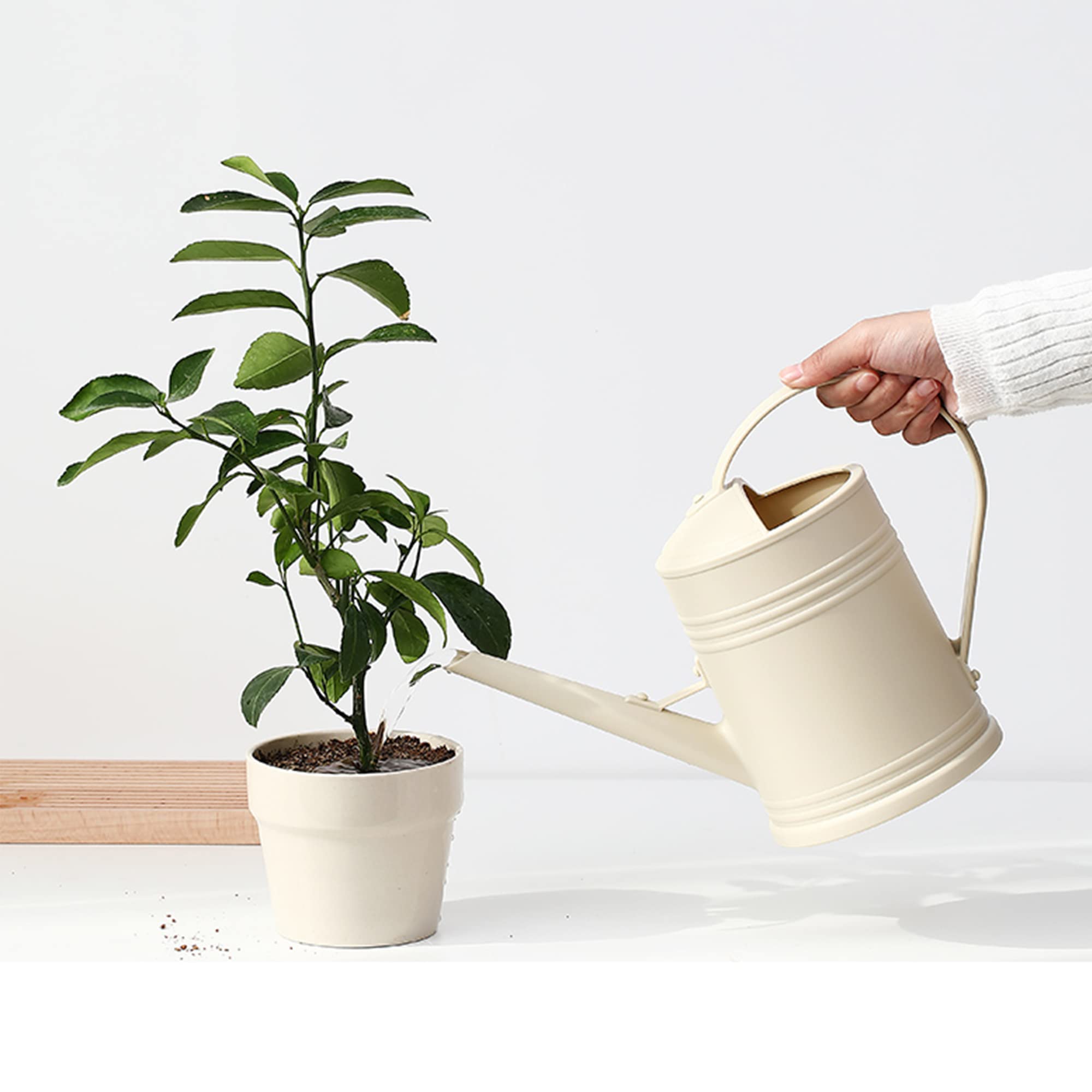 Plastic Watering Can with Sprinkler Head, 68oz Half Gallon Water Can for Indoor House Plants & Flowers