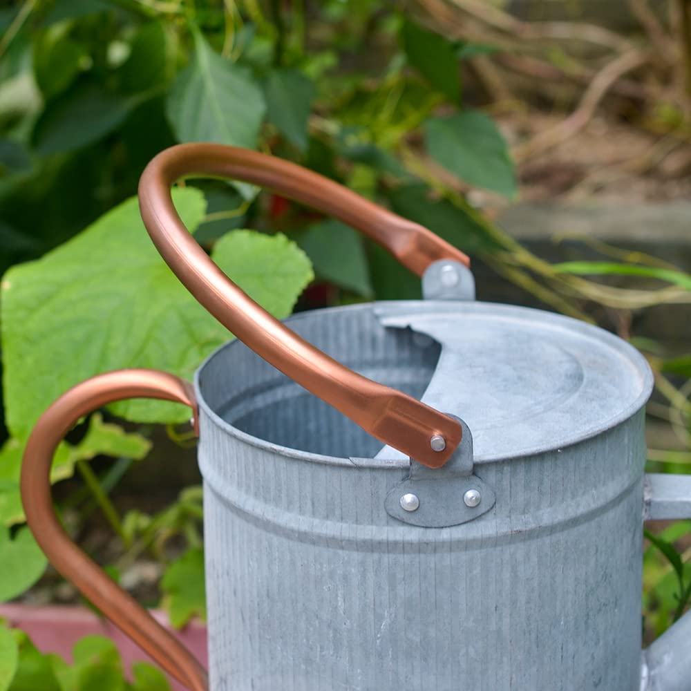 1 Gallon Galvanized Metal Watering Can with Removable Spout, Farmhouse Style for Indoor & Outdoor Plants