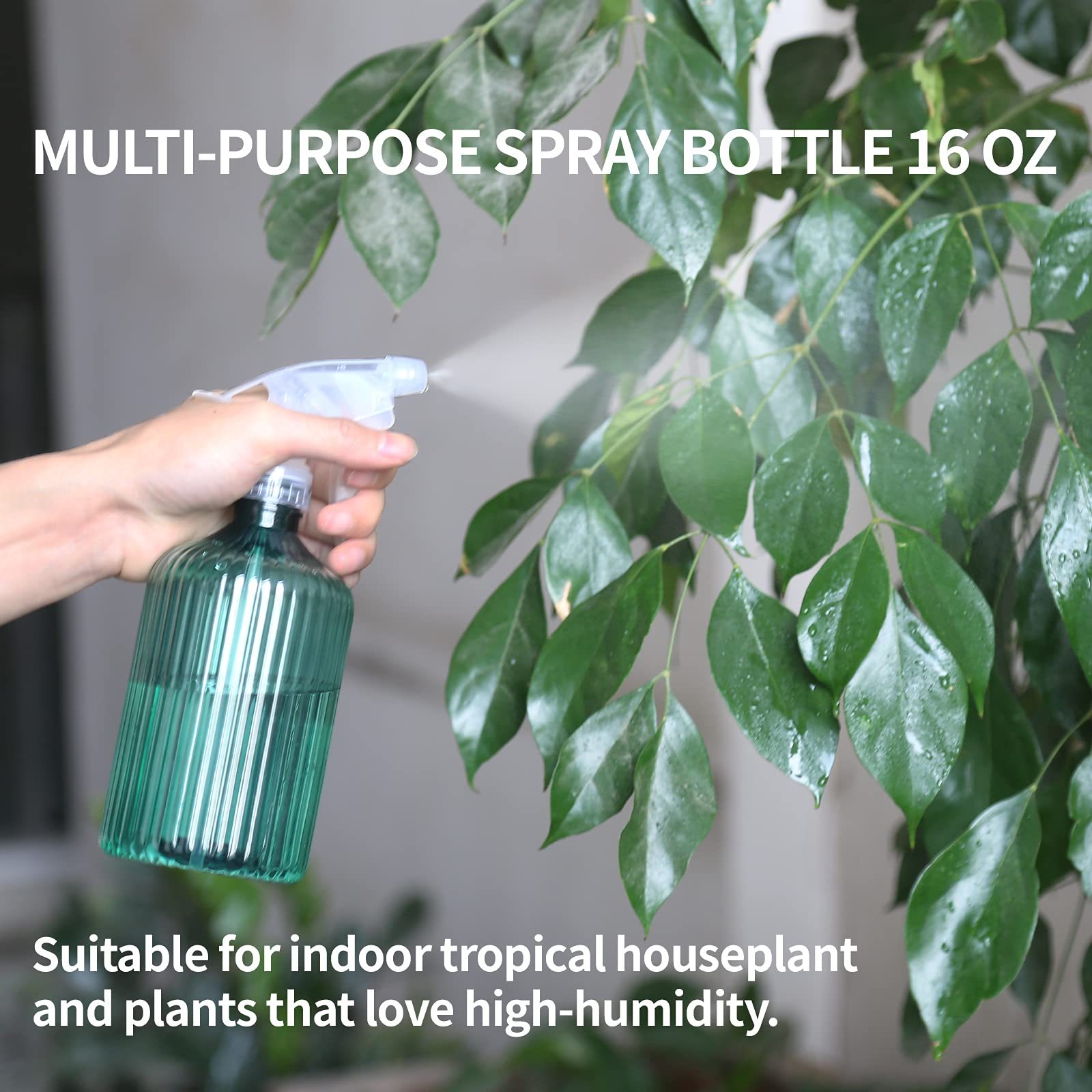 34oz Small Long Spout Watering Can, Indoor Plant Watering Set with Spray Bottle & Squeeze Bottle for House Plants and Potted Flowers