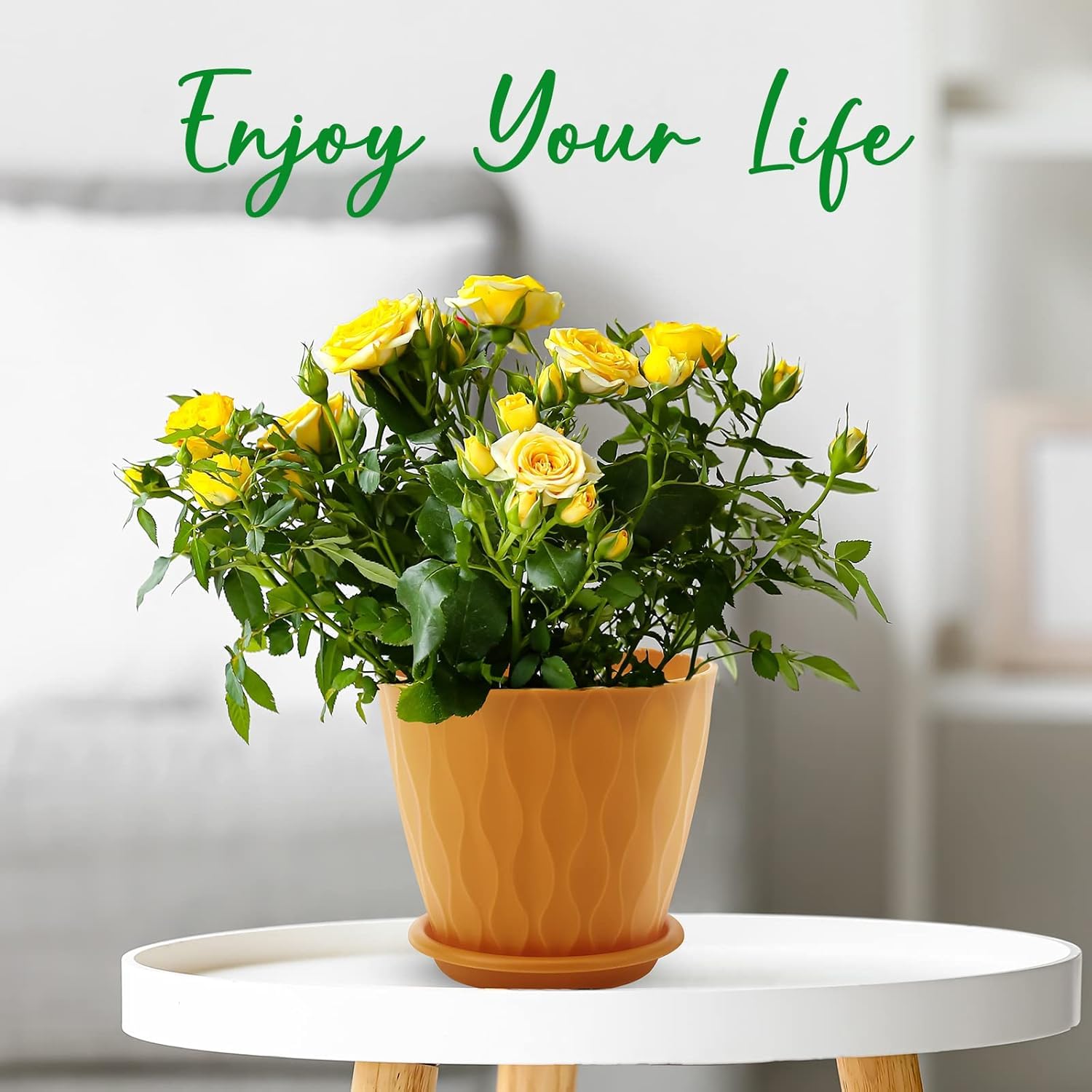 6 Inch Plant Pots 5 Pack Multicolor Indoor Outdoor Flower Pots, Planters with Drainage Holes & Saucers