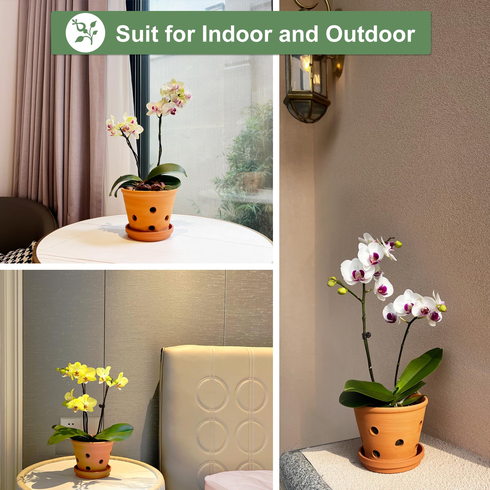 6 Inch Terracotta Orchid Pots with Drainage Holes & Saucers – 3 Pack Clay Planters for Repotting, Indoor & Outdoor Use