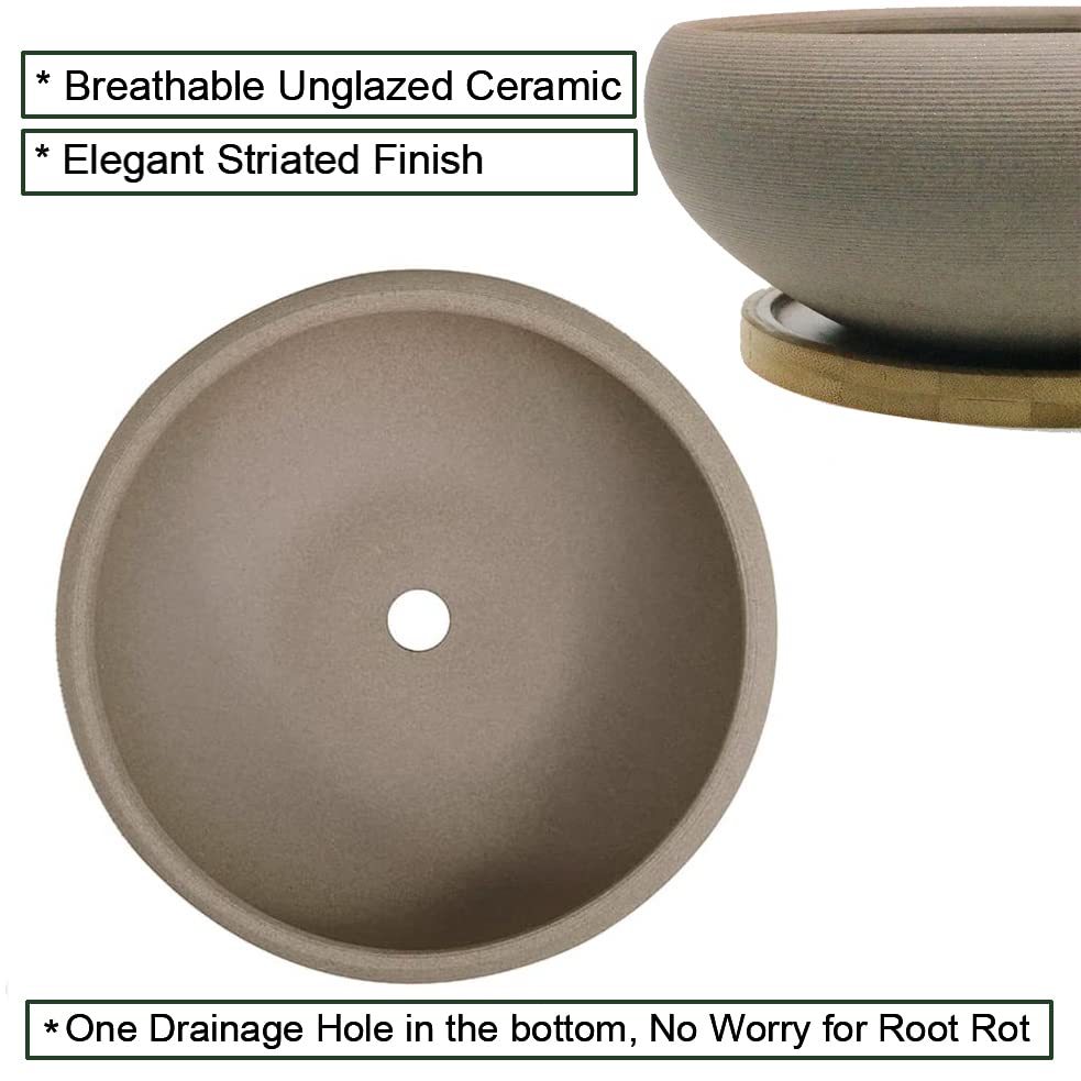 8 Inch Round Unglazed Ceramic Bonsai Pot with Bamboo Tray, Large Rough Pottery Succulent Planter with Drainage Hole