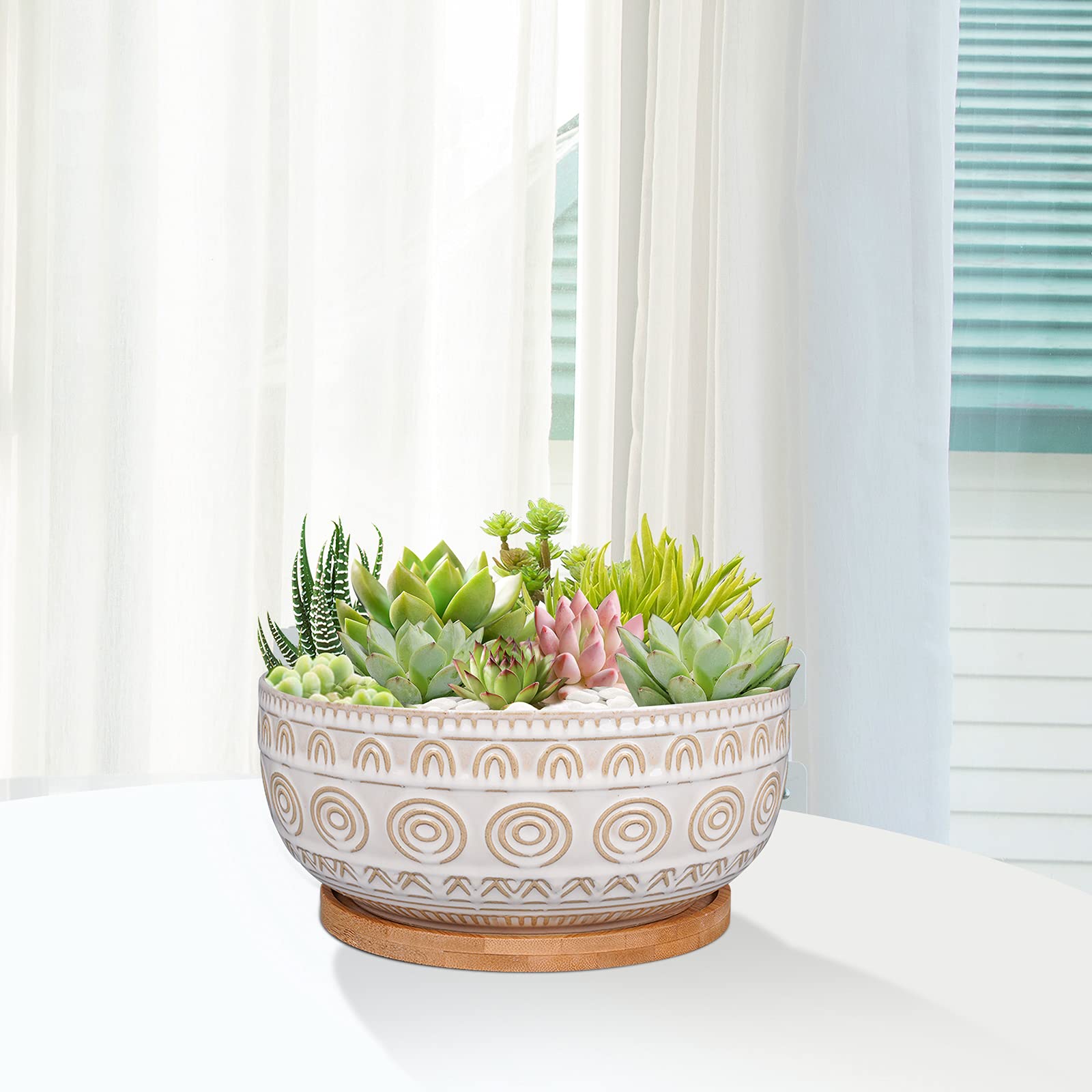 Eightpot 8 Inch Round Shallow Ceramic Succulent Planter with Drainage Hole & Saucer for Indoor Plants