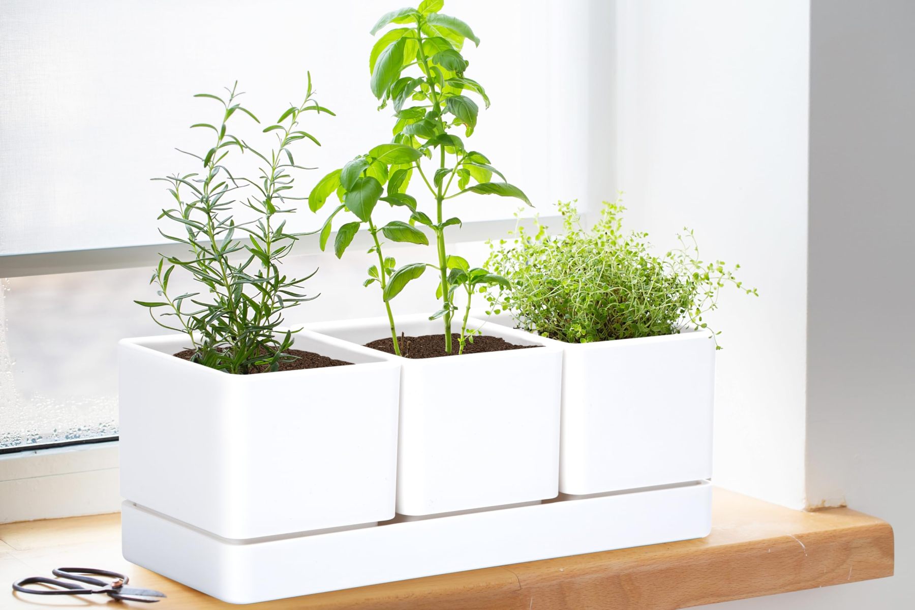White Herb Garden Planter Set, Plastic Plant Pots with Drainage Holes & Saucers, Indoor Succulent Cactus Herb Pot for Windowsill, Balcony & Garden Decor