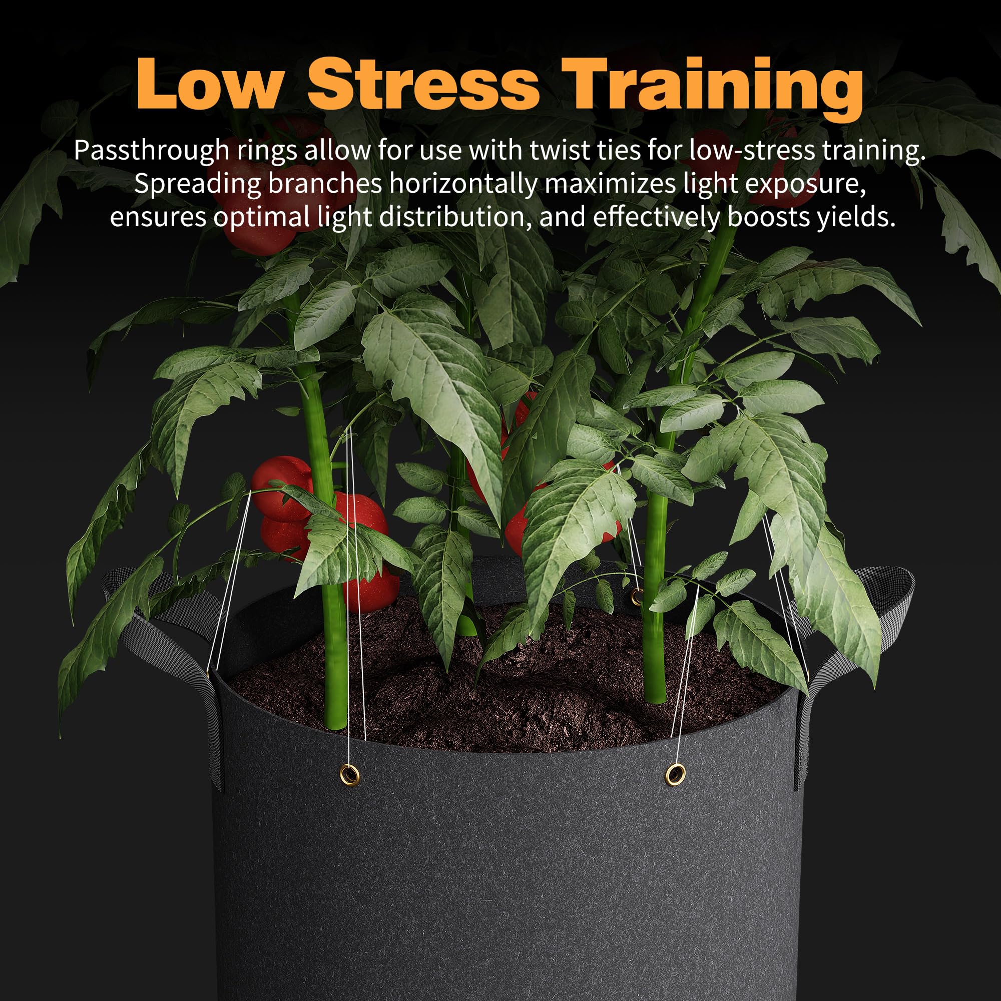 5-Pack 5 Gallon Self-Watering Grow Bags, 420G Thick Nonwoven Fabric Pots with Reinforced Handles & Multi-Purpose Rings for Low Stress Plant Training (Fruits, Vegetables, Flowers)