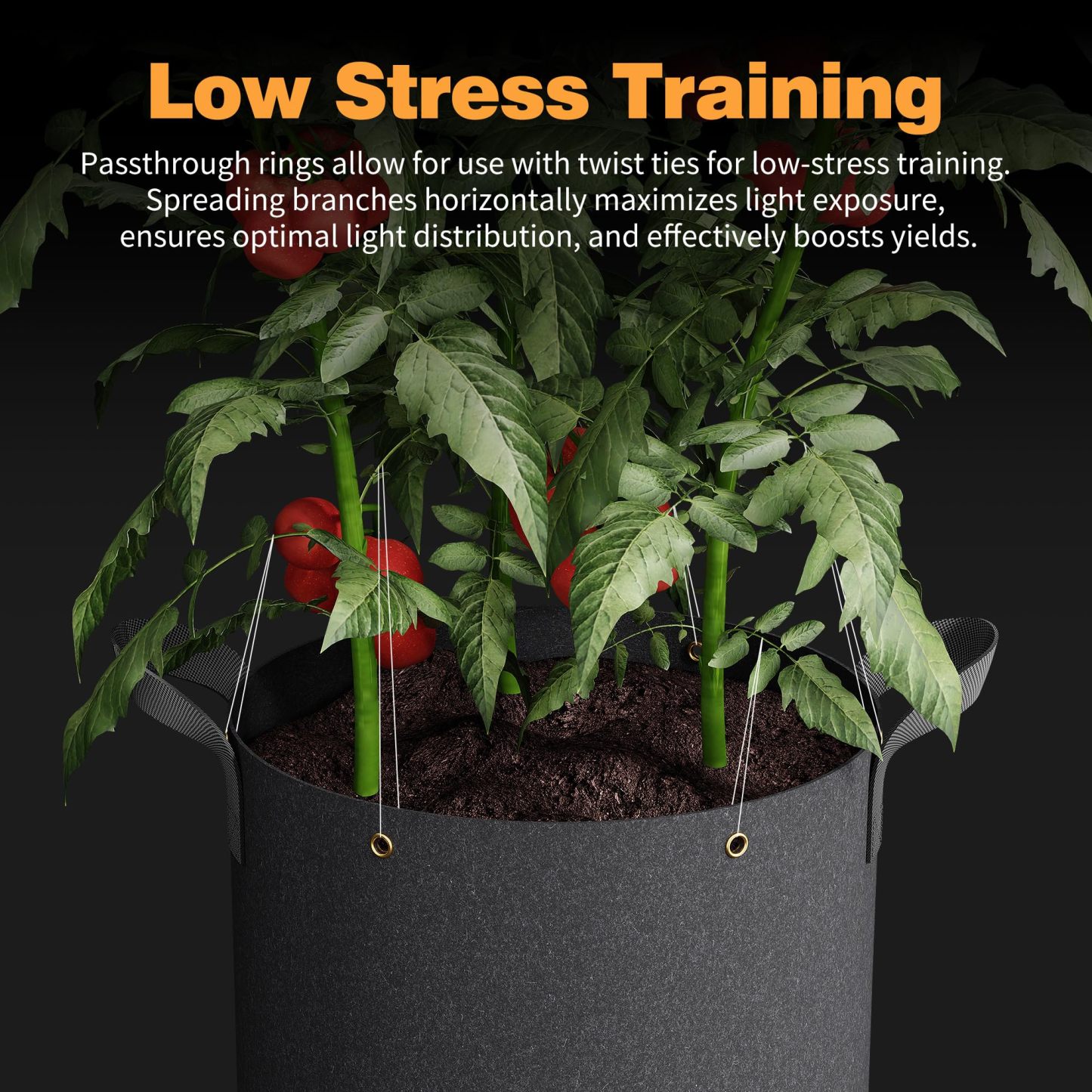 5-Pack 5 Gallon Self-Watering Grow Bags, 420G Thick Nonwoven Fabric Pots with Reinforced Handles & Multi-Purpose Rings for Low Stress Plant Training (Fruits, Vegetables, Flowers)