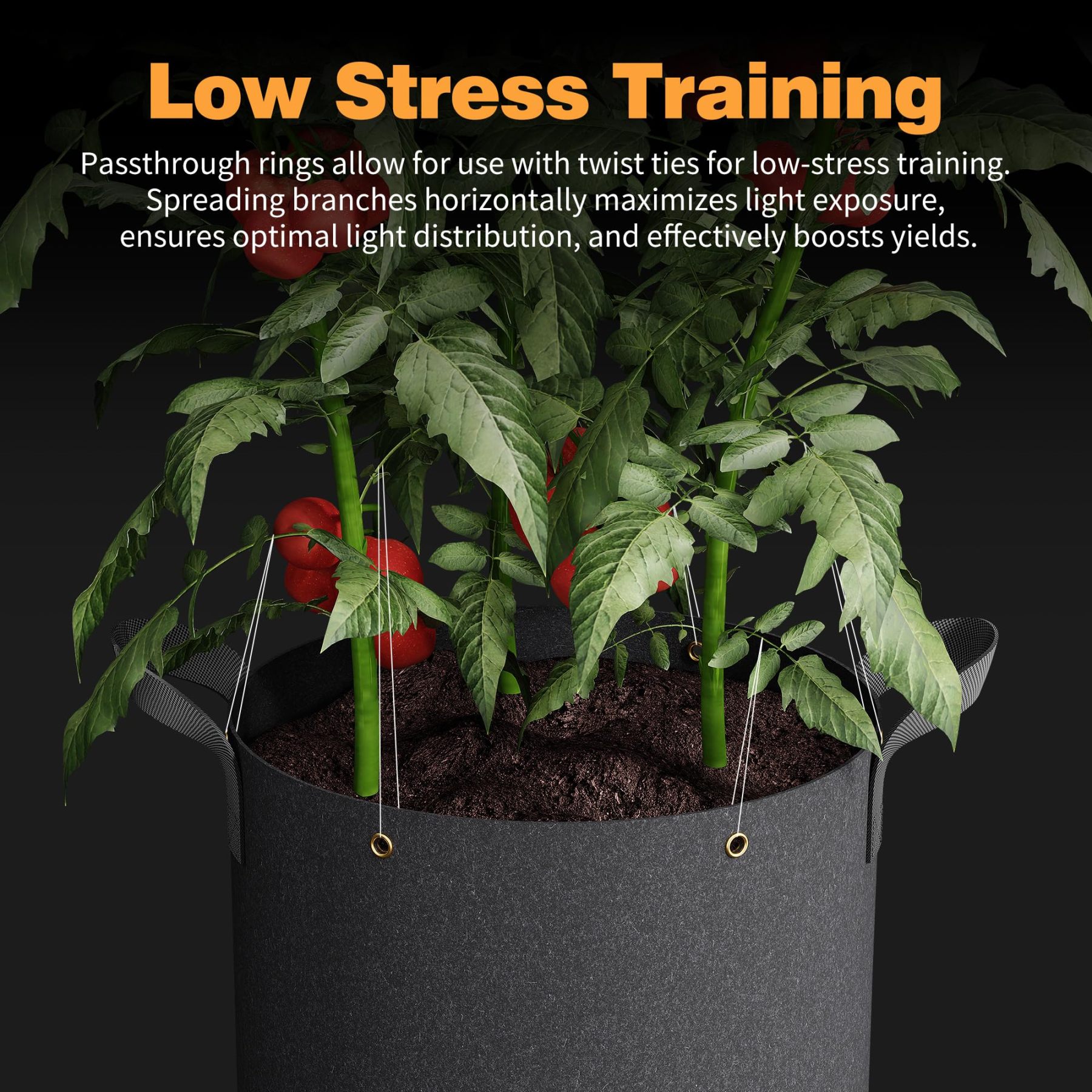 5-Pack 5 Gallon Self-Watering Grow Bags, 420G Thick Nonwoven Fabric Pots with Reinforced Handles & Multi-Purpose Rings for Low Stress Plant Training (Fruits, Vegetables, Flowers)