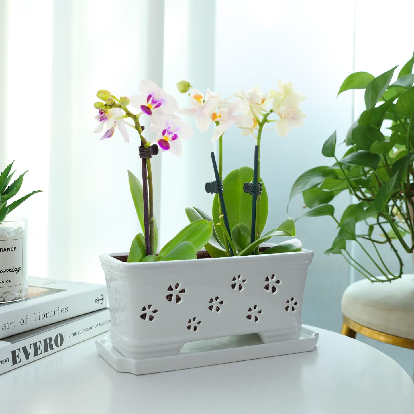 Rectangle Ceramic Orchid Pot with Holes & Saucer