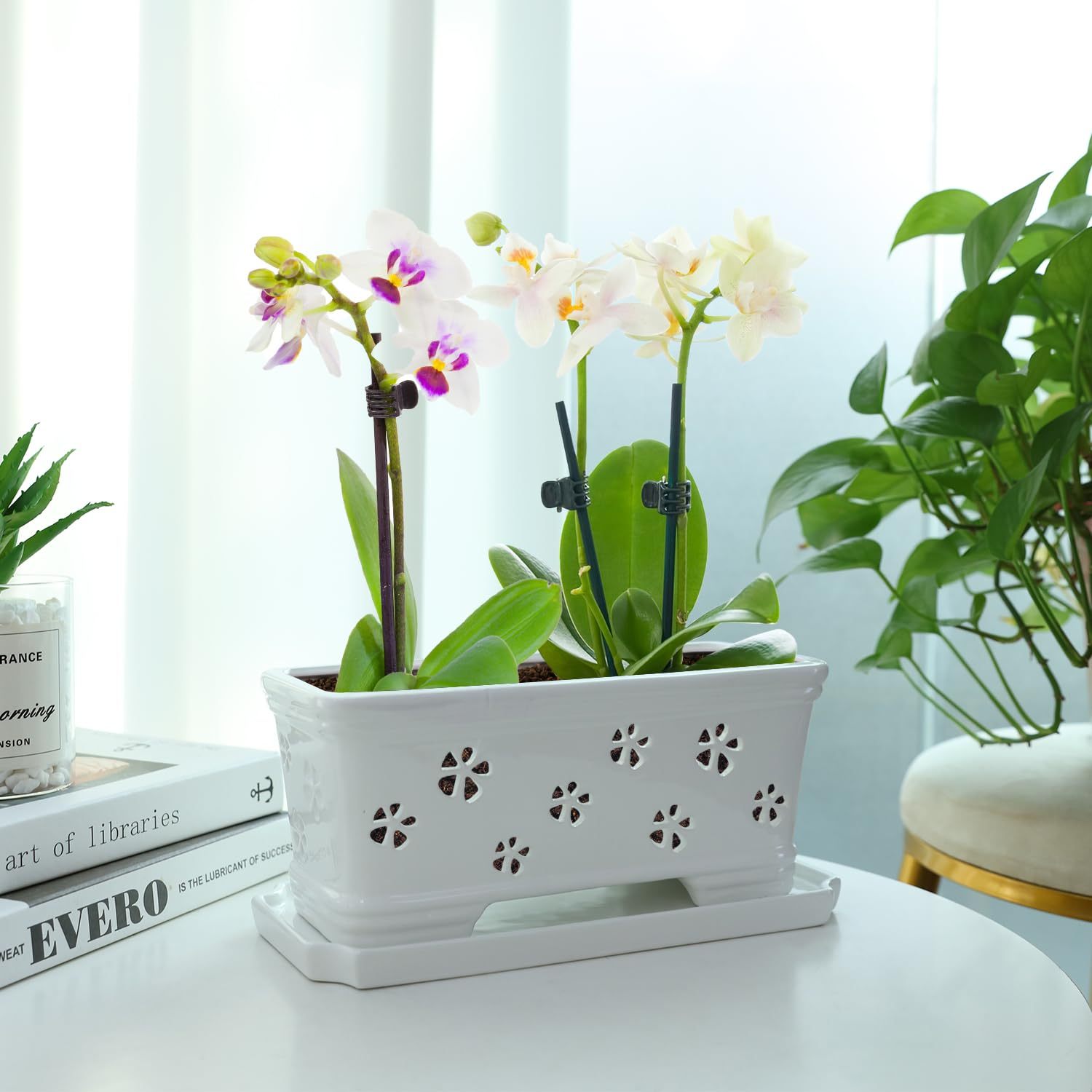 Rectangle Ceramic Orchid Pot with Holes & Saucer