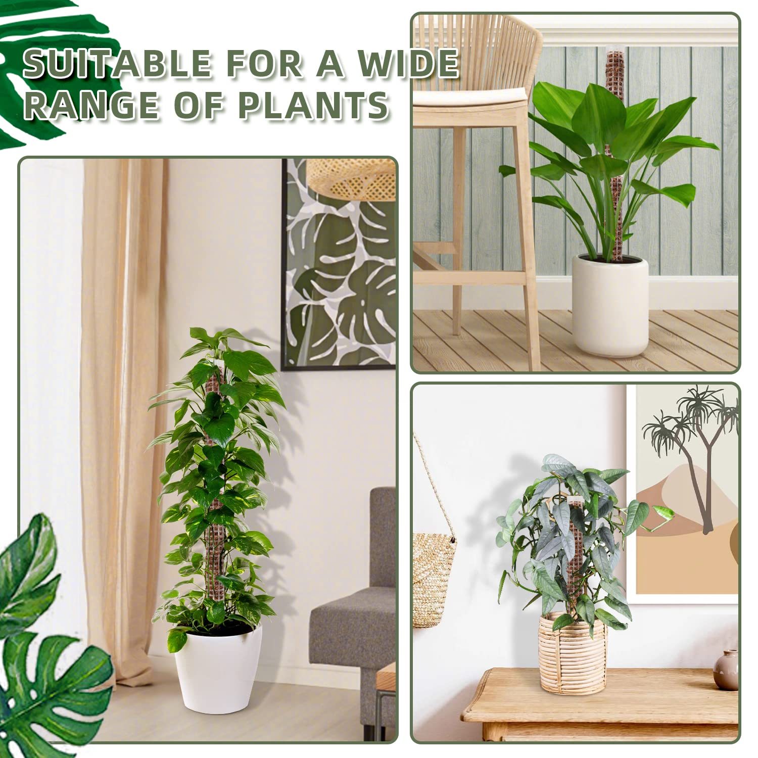 4 Pack Small Stackable Moss Pole, White Refillable Plastic Plant Support with Large Mesh Design, Climbing Plant Moss Pole for Monstera
