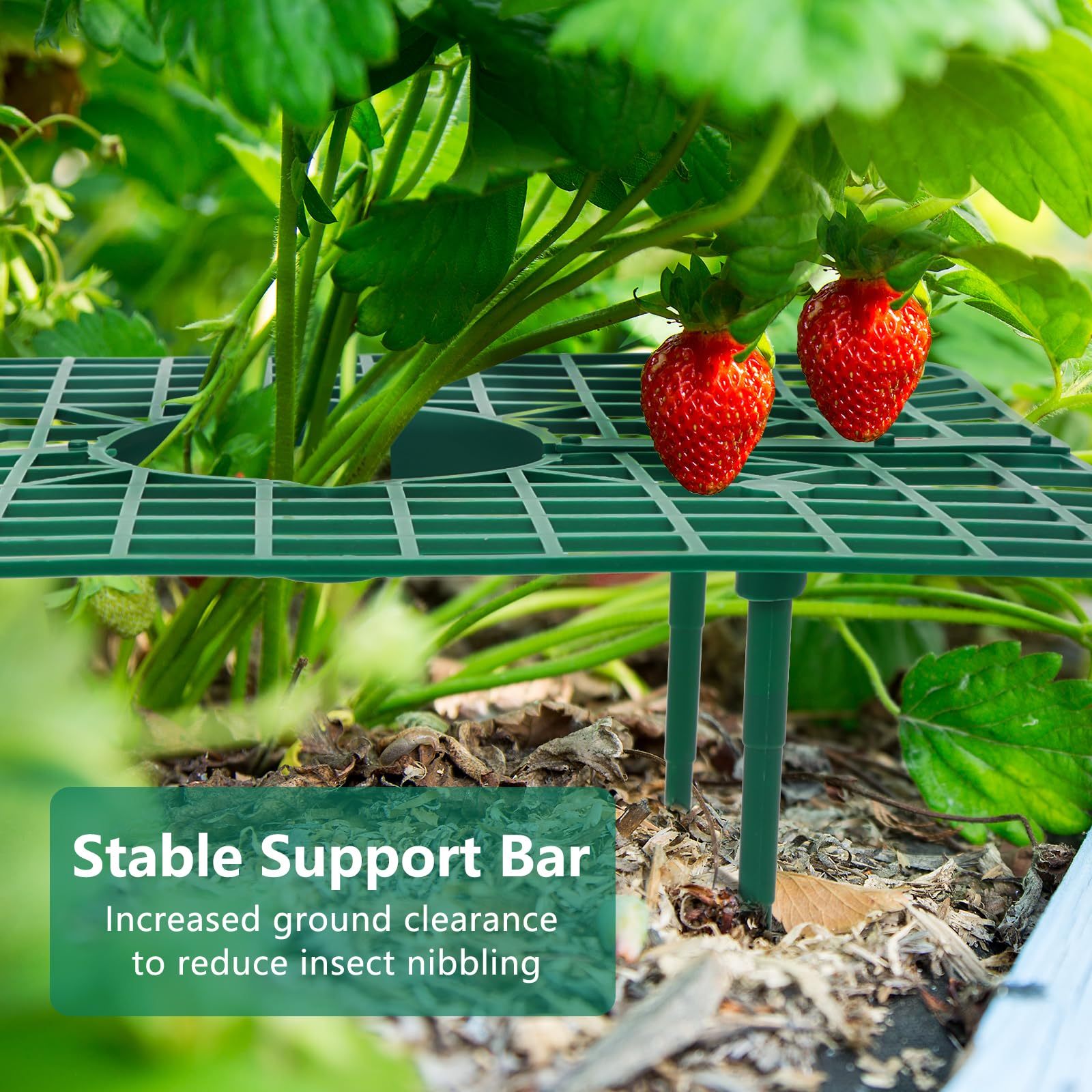 10 Pack Strawberry Plant Support Frames, Strawberry Growing Racks to Keep Berries Clean, Reusable Strawberry Planting Stands for Garden
