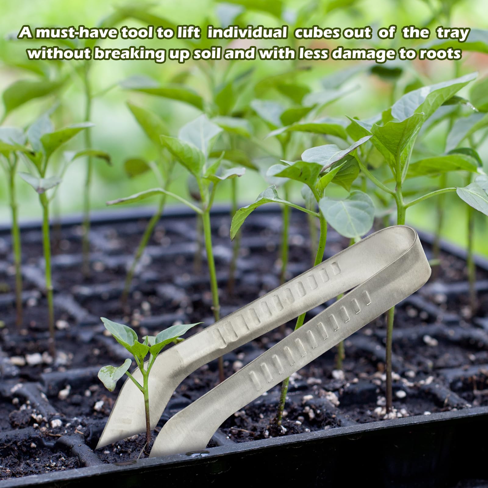 Seedling Transplant Tongs, Stainless Steel Seedling Transplanter Tool with Anti-Slip Tips, Root-Friendly Seedling Remover for Garden Planting