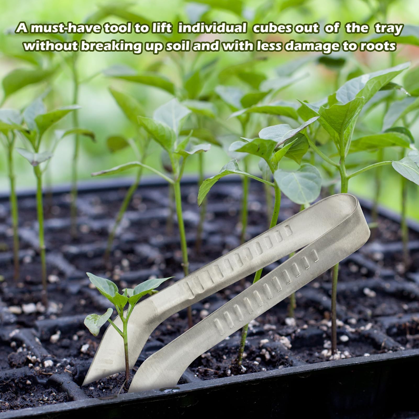 Seedling Transplant Tongs, Stainless Steel Seedling Transplanter Tool with Anti-Slip Tips, Root-Friendly Seedling Remover for Garden Planting