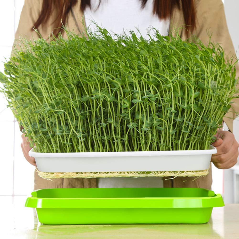 2 Pack Seed Sprouter Tray with Humidity Lid, BPA-Free Soil-Free Sprouting Kit, Large Capacity Microgreens Germination Tray for Wheatgrass, Beans, Peas, Cat Grass