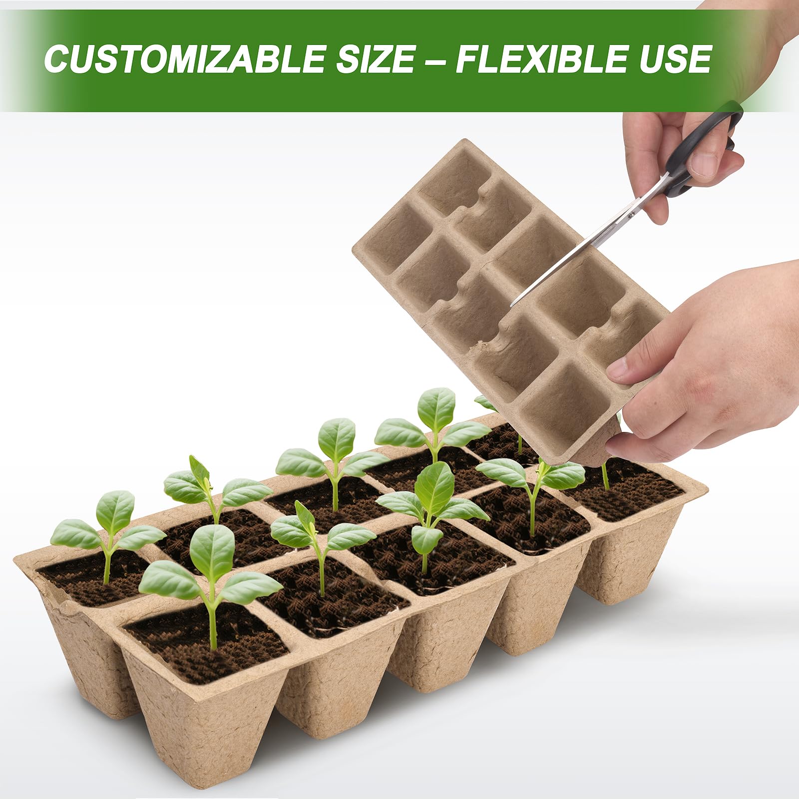 200 Cells Peat Pot Seed Starter Trays 20 Sets, Biodegradable Germination Growing Trays with Markers for Seedlings Cultivation