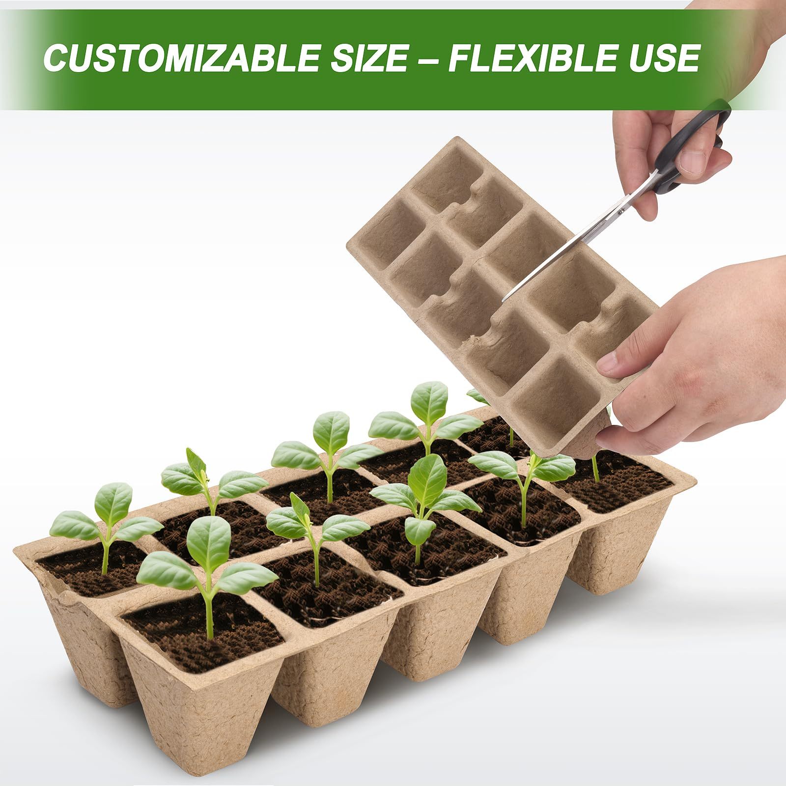 200 Cells Peat Pot Seed Starter Trays 20 Sets, Biodegradable Germination Growing Trays with Markers for Seedlings Cultivation