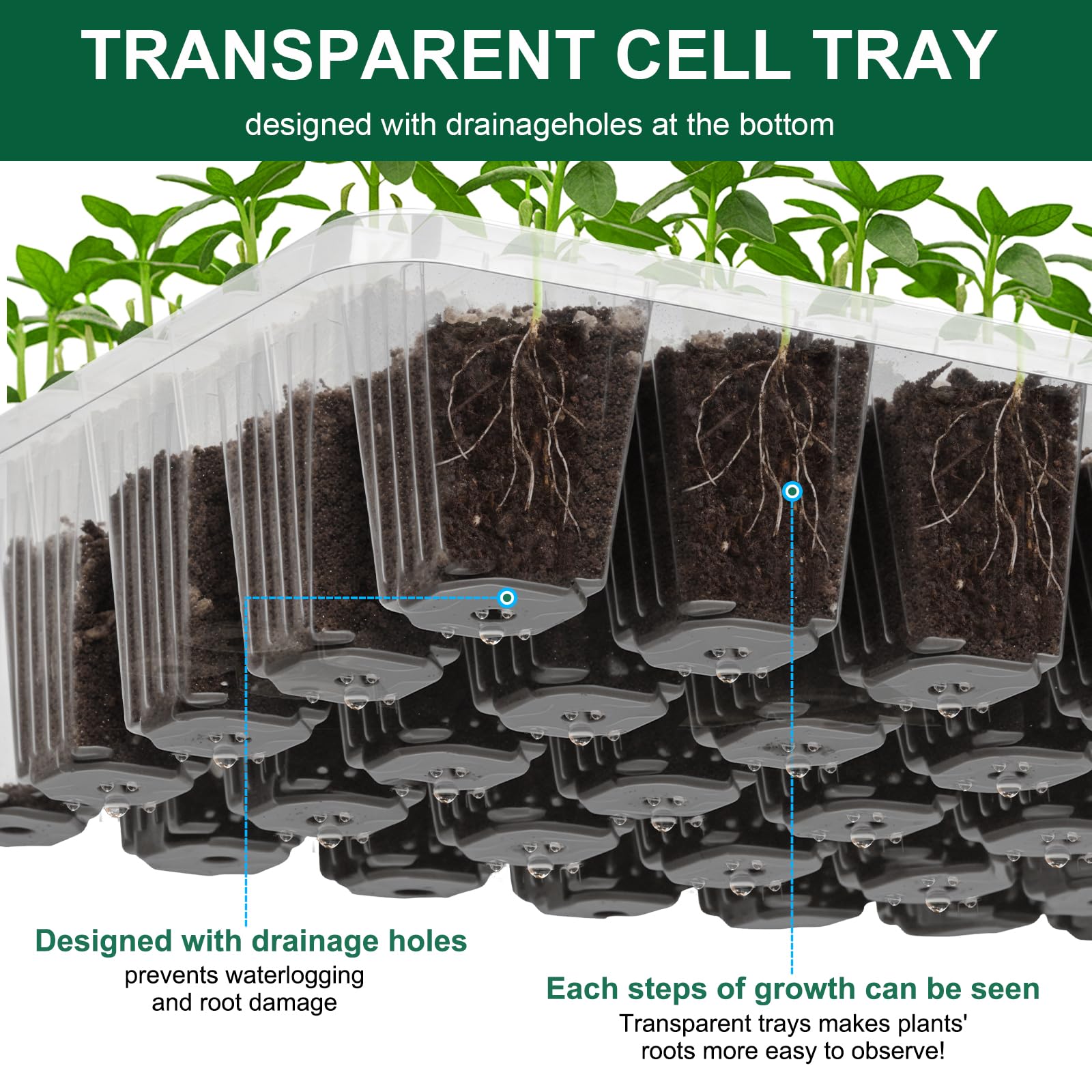 5 Pack Seed Starter Trays, 200 Cells Total Seed Starting Kit with Adjustable Humidity Dome, Mini Greenhouse Plant Germination Tray for Seedlings Growing