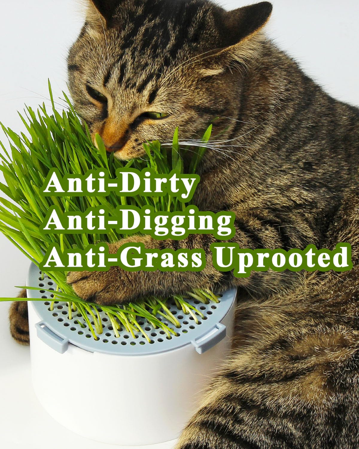 2Pcs Hydroponic Cat Grass Planter, Soil Free Wheatgrass Growing Tray, Anti Digging Anti Uprooted Cat Grass Grow Kit for Indoor Pets Cats, Without Seeds