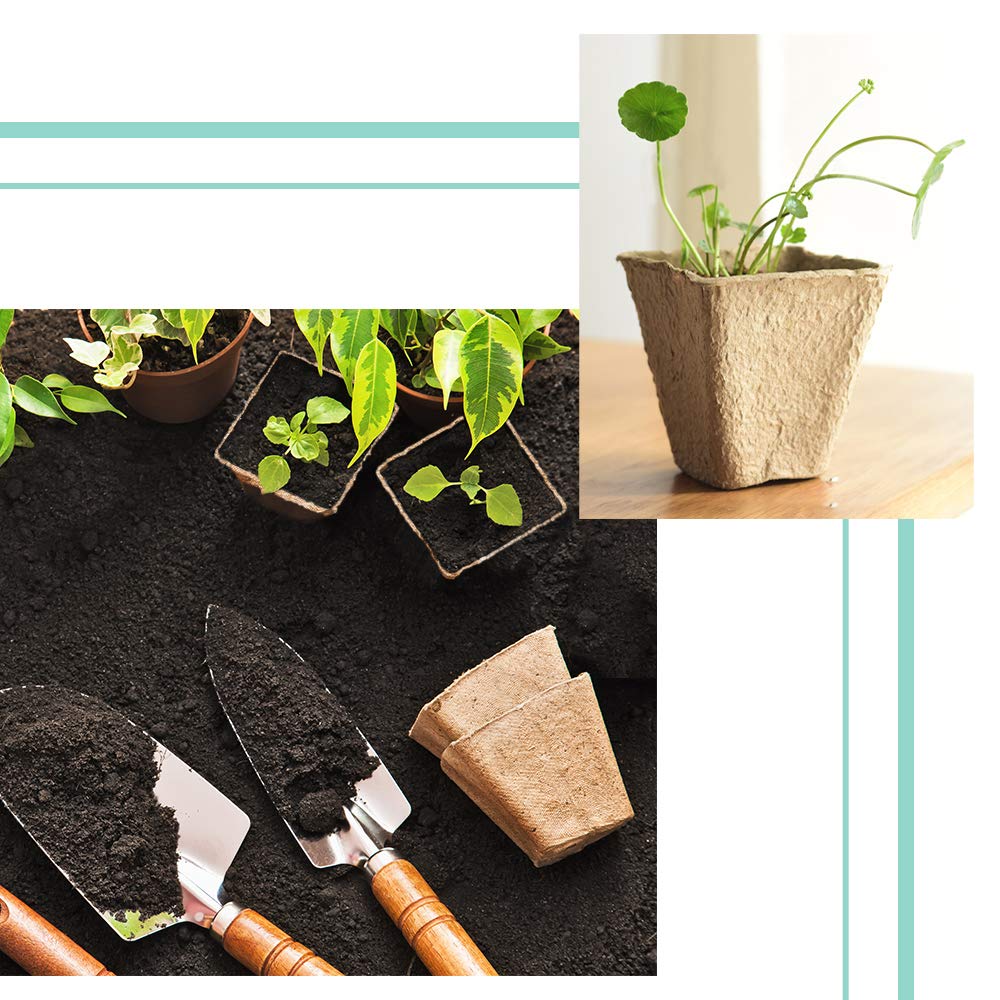3.25" Biodegradable Peat Seed Starter Pots