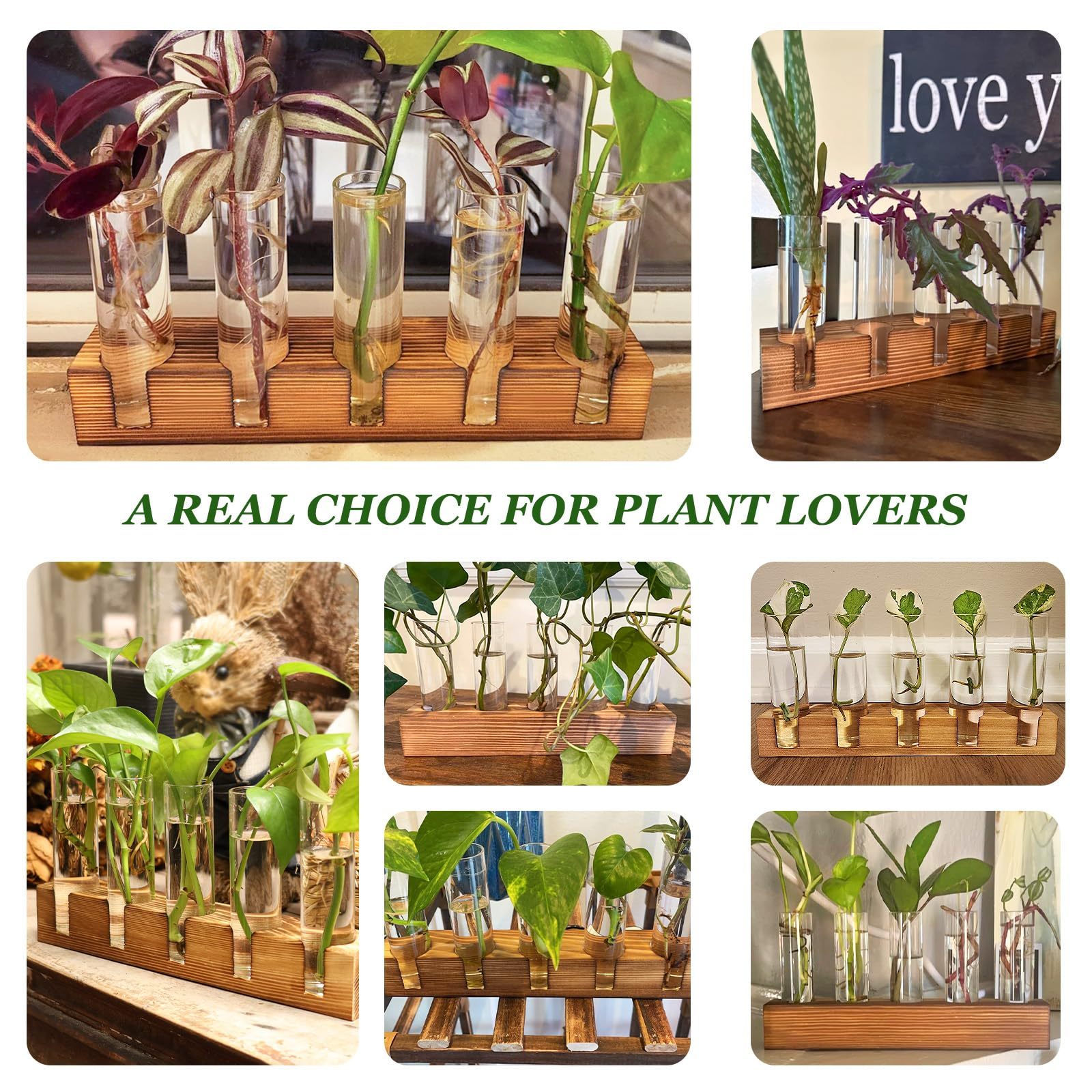 Plant Propagation Station, 5 Glass Test Tube Vases with Wooden Stand, Hydroponic Plant Terrarium, Unique Small Birthday Gardening Gifts for Women Mom Plant Lovers
