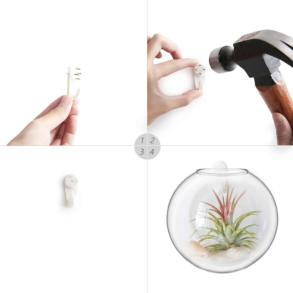 4Pcs Oblate Wall Hanging Glass Propagation Station, Hydroponic Flower Vase for Plant Cuttings, Home Bathroom Office Living Room Wall Decor Gift, Plants Not Included