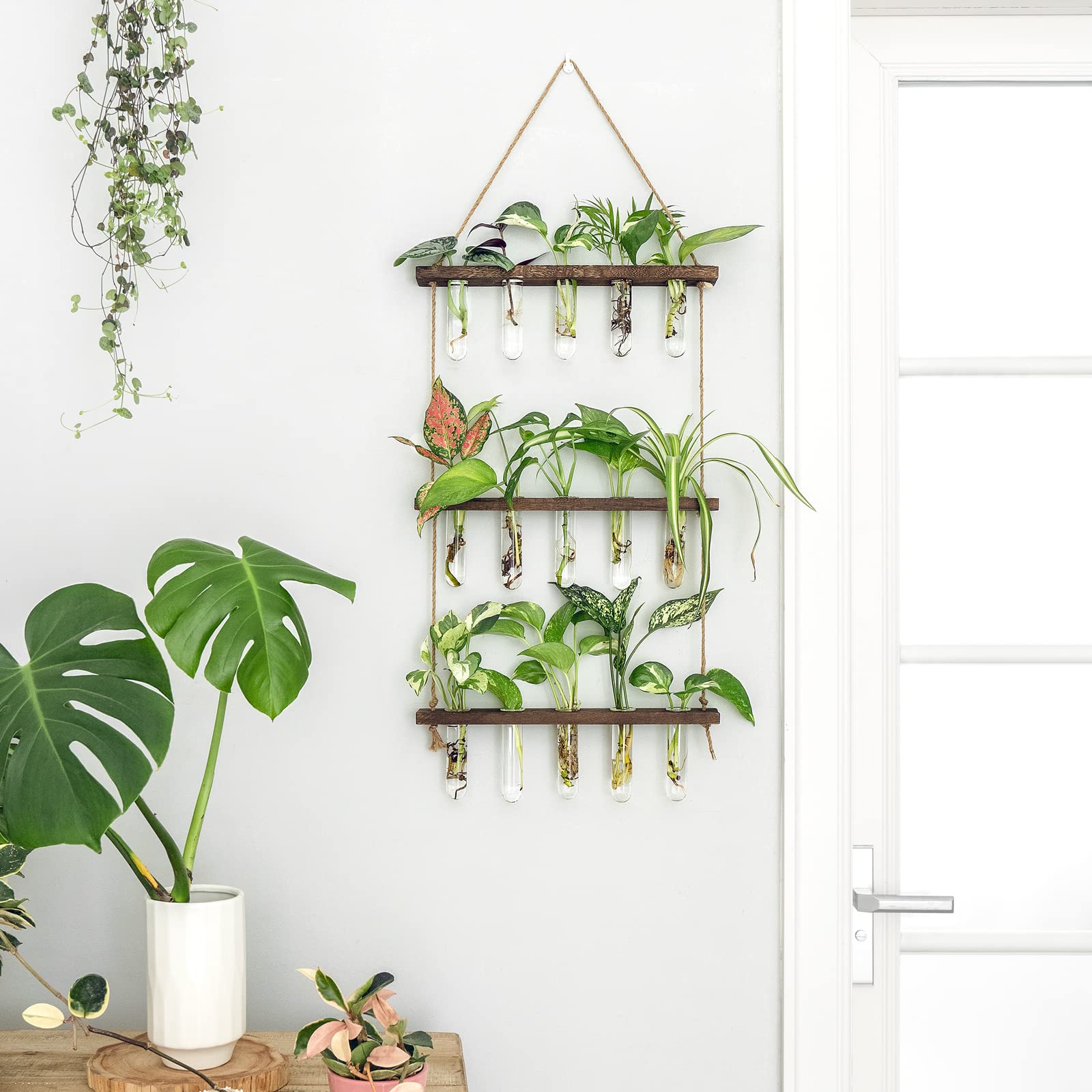 3 Tier Wall Hanging Plant Propagation Tubes, Wooden Frame Test Tube Glass Vase, Hydroponic Cuttings Terrarium, Home Garden Office Wall Decor Gift