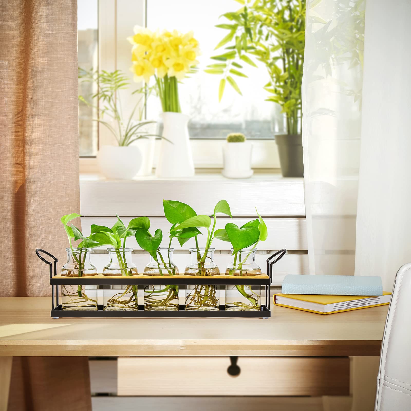 Tabletop Plant Propagation Station with Metal Stand, Retro Glass Hydroponic Planter Vase, 5 Jars Desktop Terrarium for Home Kitchen Office Decor & Plant Lovers Gifts